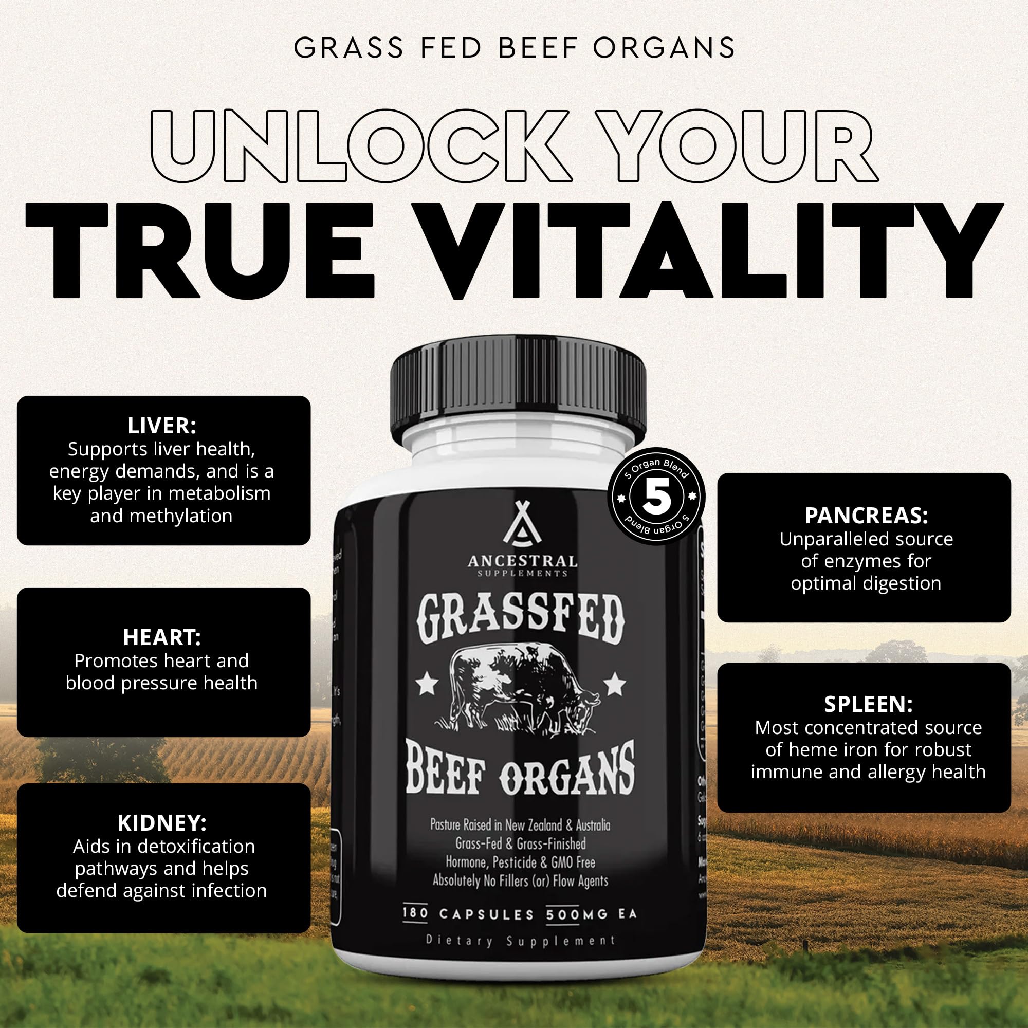 Ancestral Supplements Grass Fed Beef Organ Supplement, Supports Whole Body Wellness with Proprietary Blend of Liver, Heart, Kidney, Pancreas, Spleen, Freeze-Dried Beef, Non-GMO, 180 Capsules