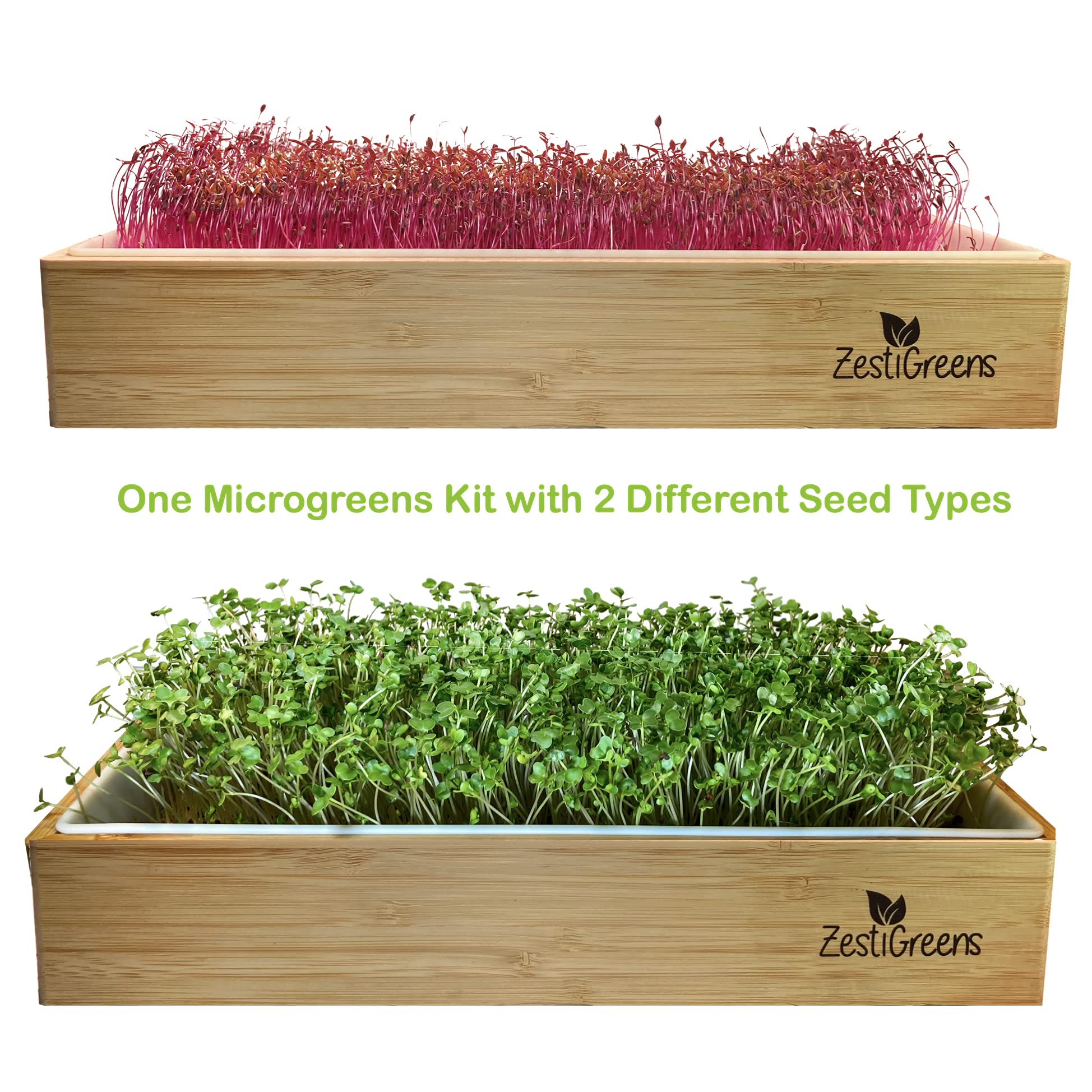 Microgreens Growing Kit, 4 Seed Mats & Microgreens Refill (Broccoli, Mixed Salad, Chia & Red Amaranth Organic Microgreen Seeds)
