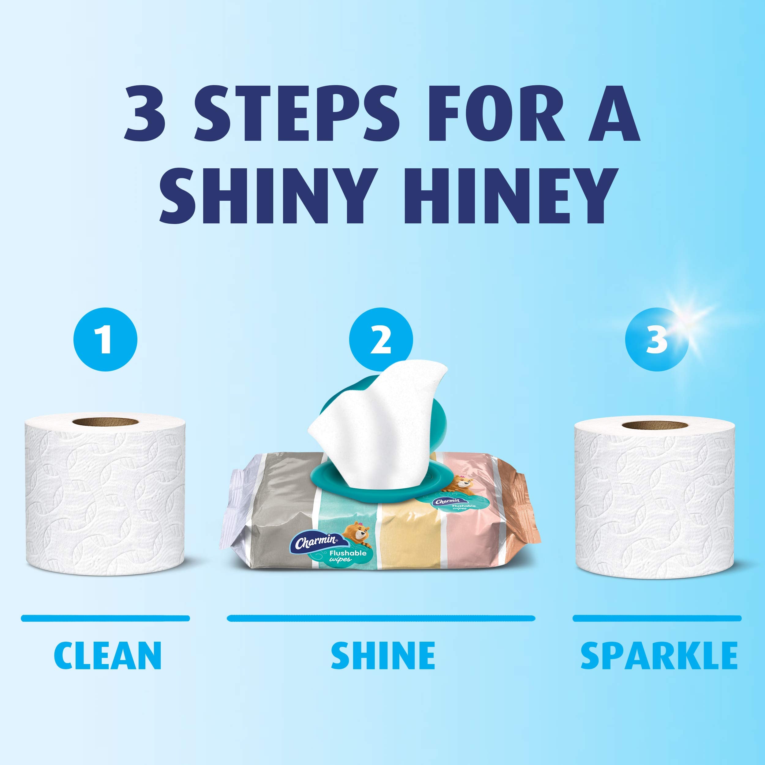 Charmin Freshmates Flushable Unscented Wet Wipes, 12 Packs, 40 Sheets Per Pack, Prime Pantry