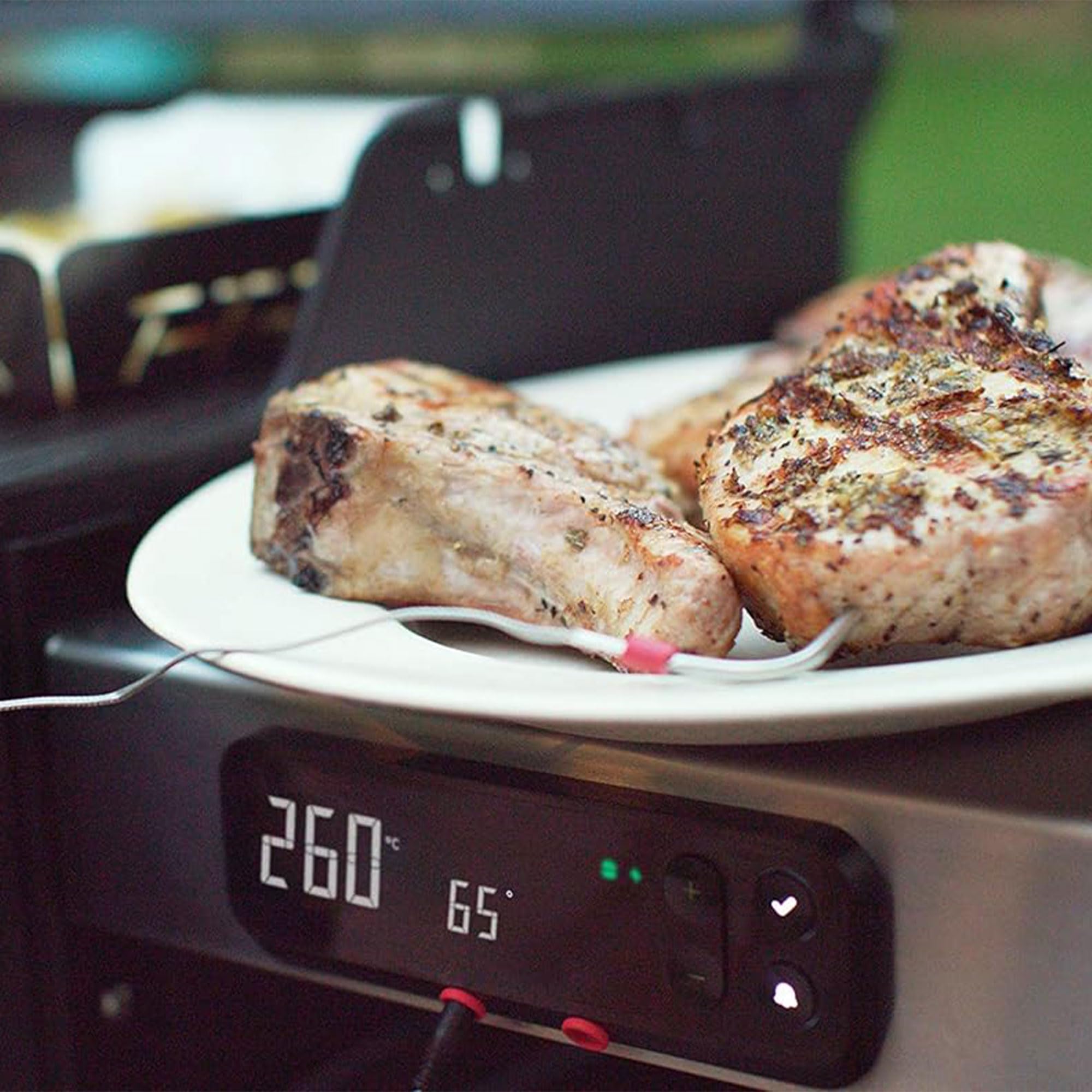 Weber Spirit SX-315 Natural Gas Grill, Stainless Steel