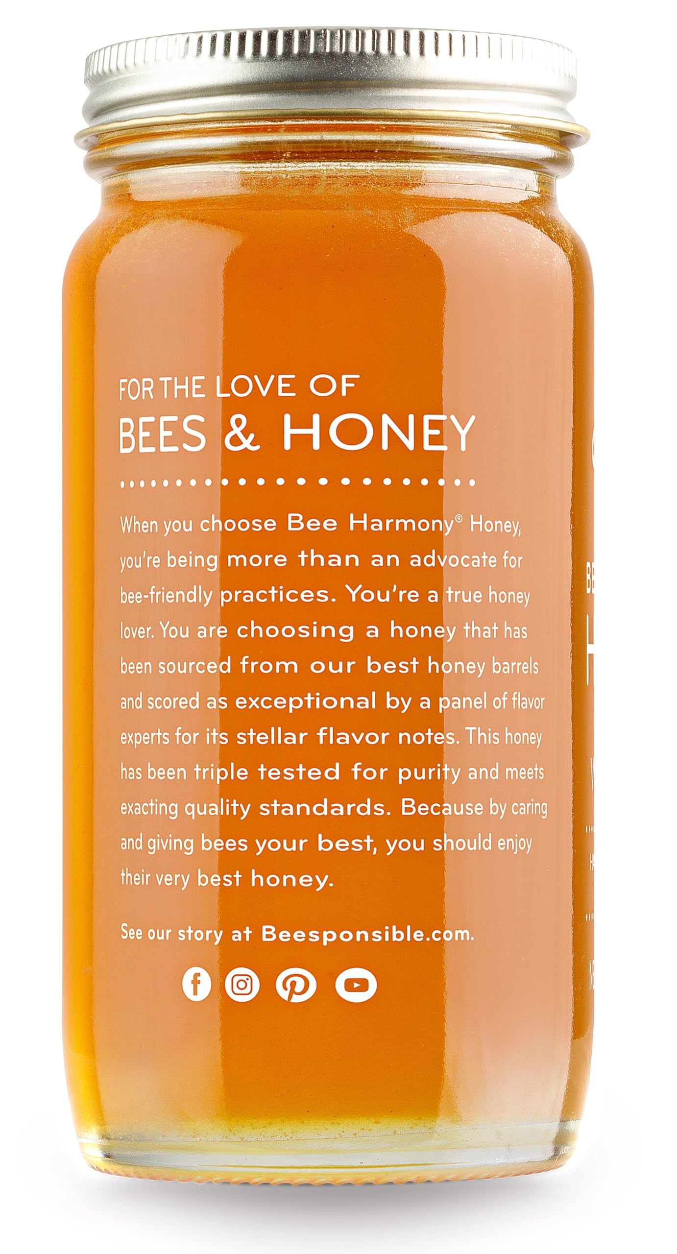 Bee Harmony American Raw Wildflower Honey, 12 OZ (Pack of 2 Jars)