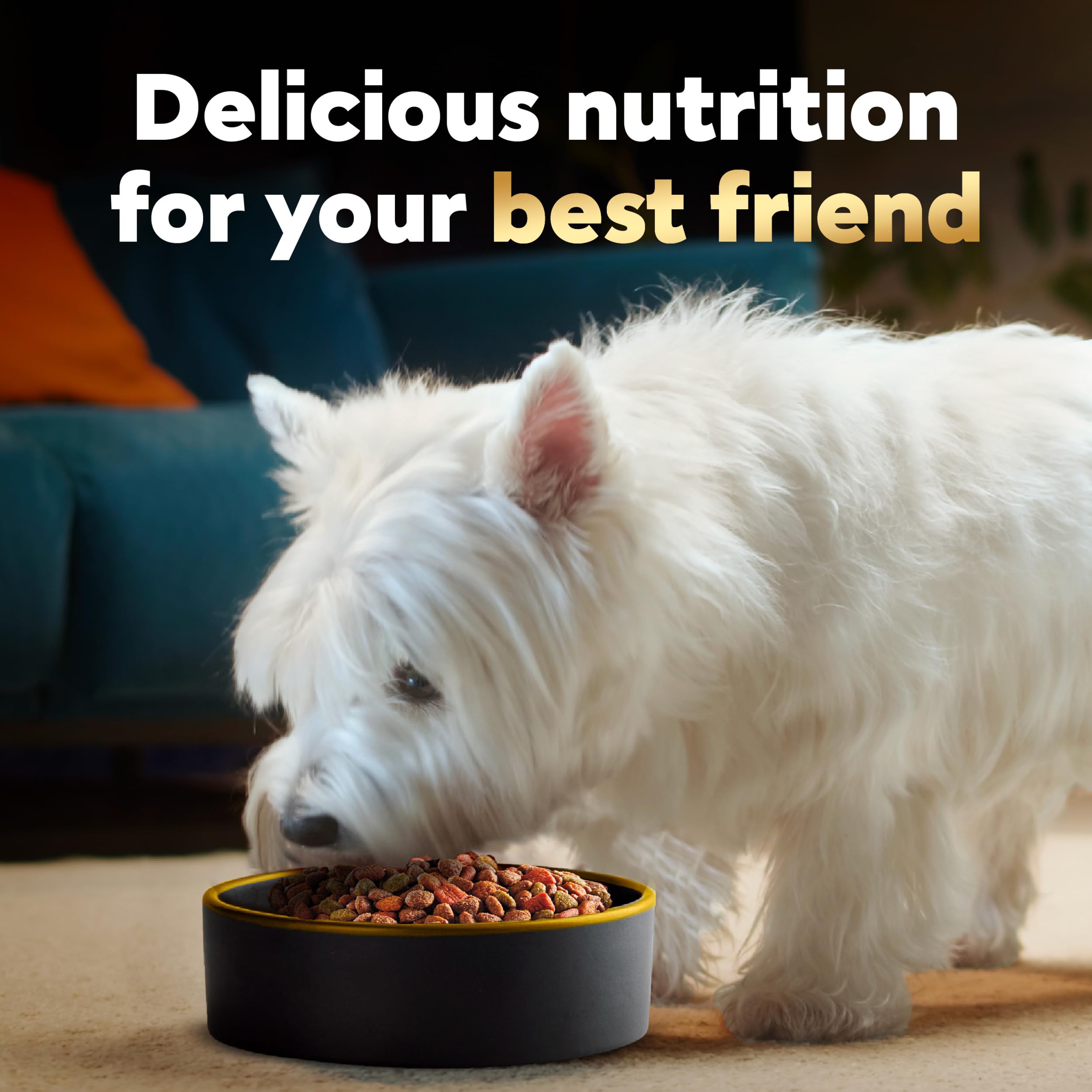 CESAR Small Breed Adult Dry Dog Food Filet Mignon Flavor with Spring Vegetables Garnish Dog Kibble, 12 lb. Bag