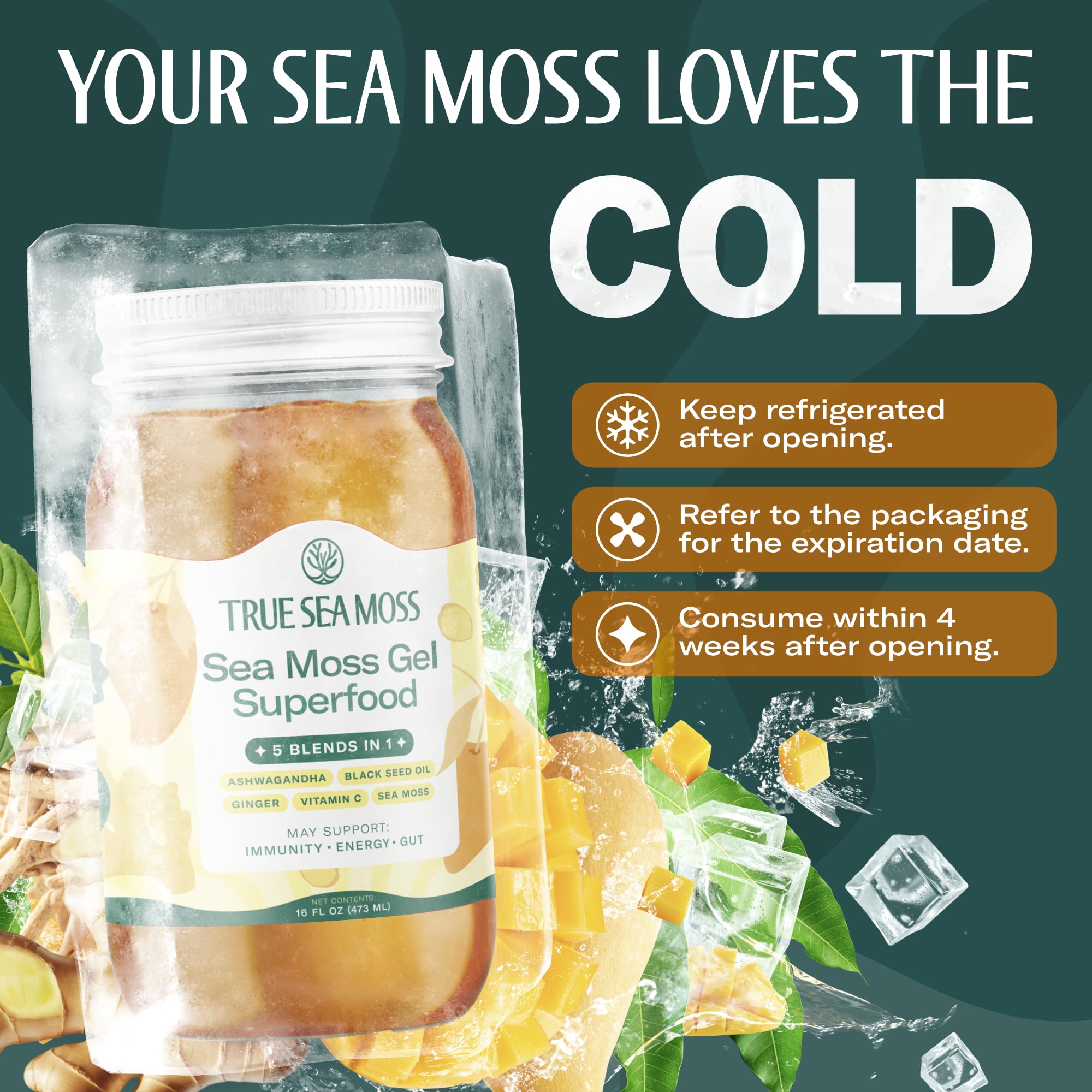 TrueSeaMoss Sea Moss Gel – Made in USA – 5-in-1 Formula – Wildcrafted Seamoss, Ashwagandha & Sea Vegetables – Ashwagandha, Pack of 1 (Labels May Vary)