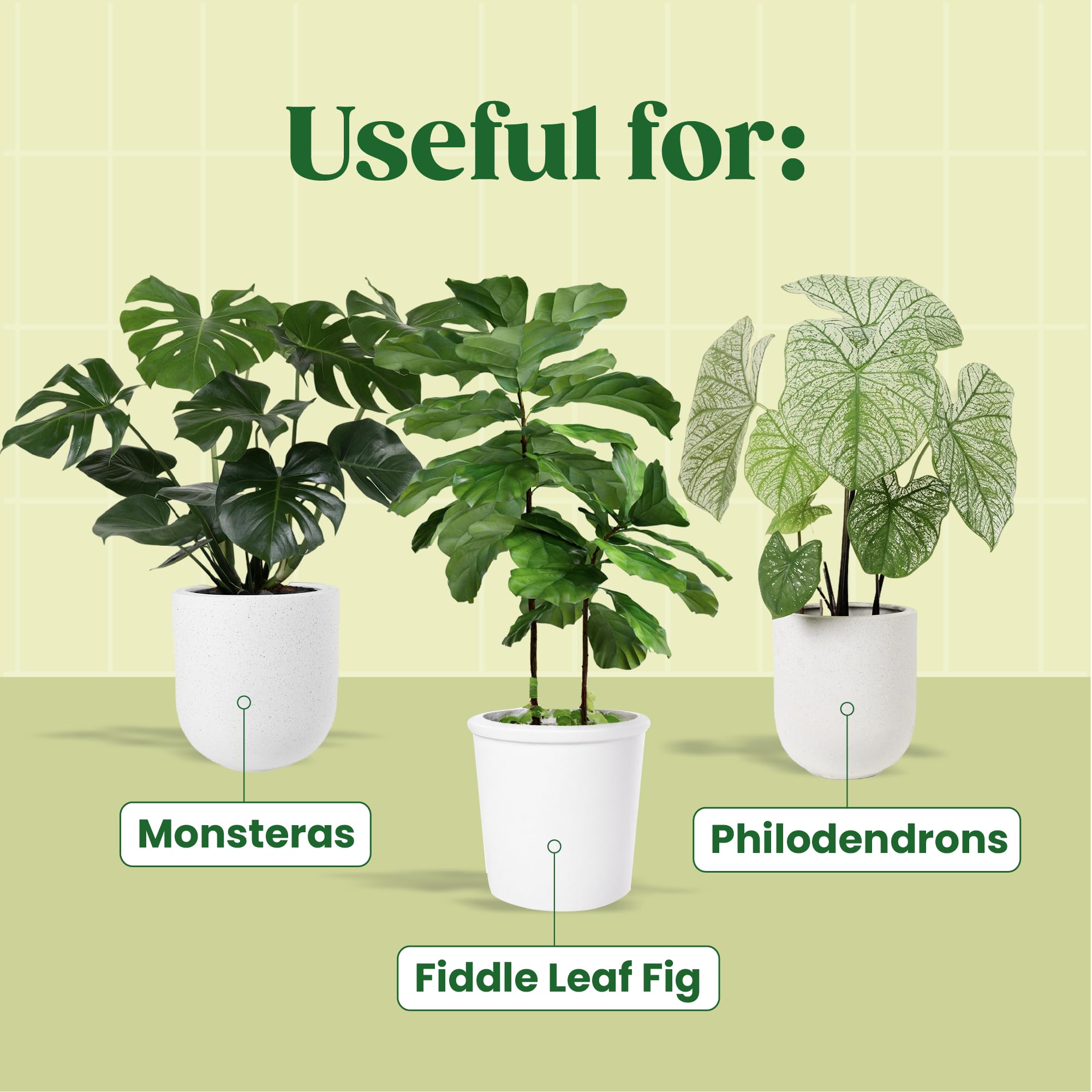 Root Supplement, Liquid Stimulator for Fiddle Leaf Fig & Indoor Plants - Propagation Promoter & Rot Treatment - Food for Healthy Roots, Stems & Leaves - Made in USA