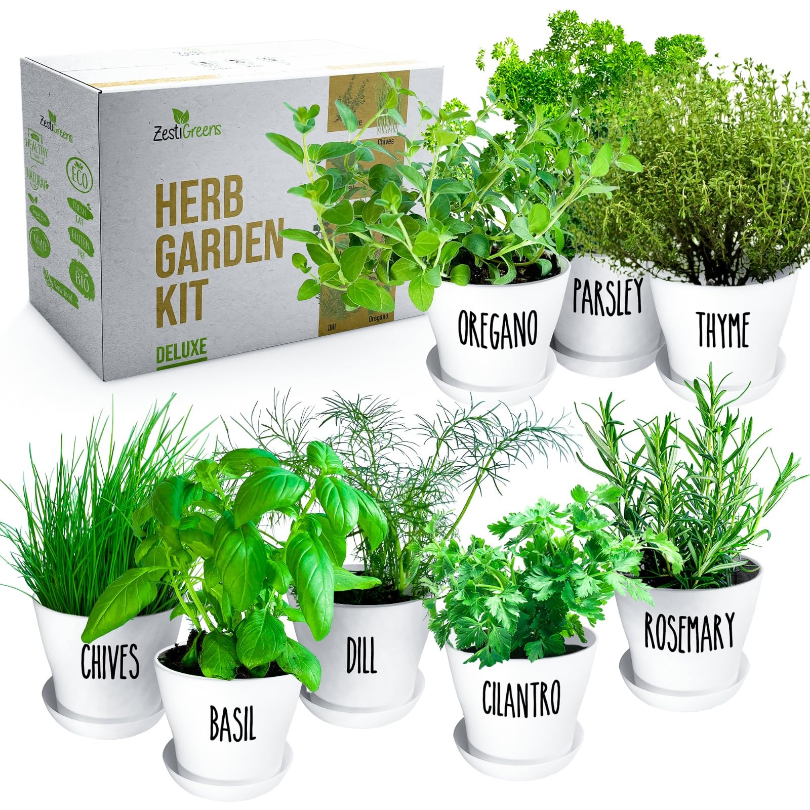 Deluxe Indoor & Outdoor Herb Garden Kit – 8 or The Most Popular Culinary Herbs with Pots & Soil for Windowsill or Patio Growing