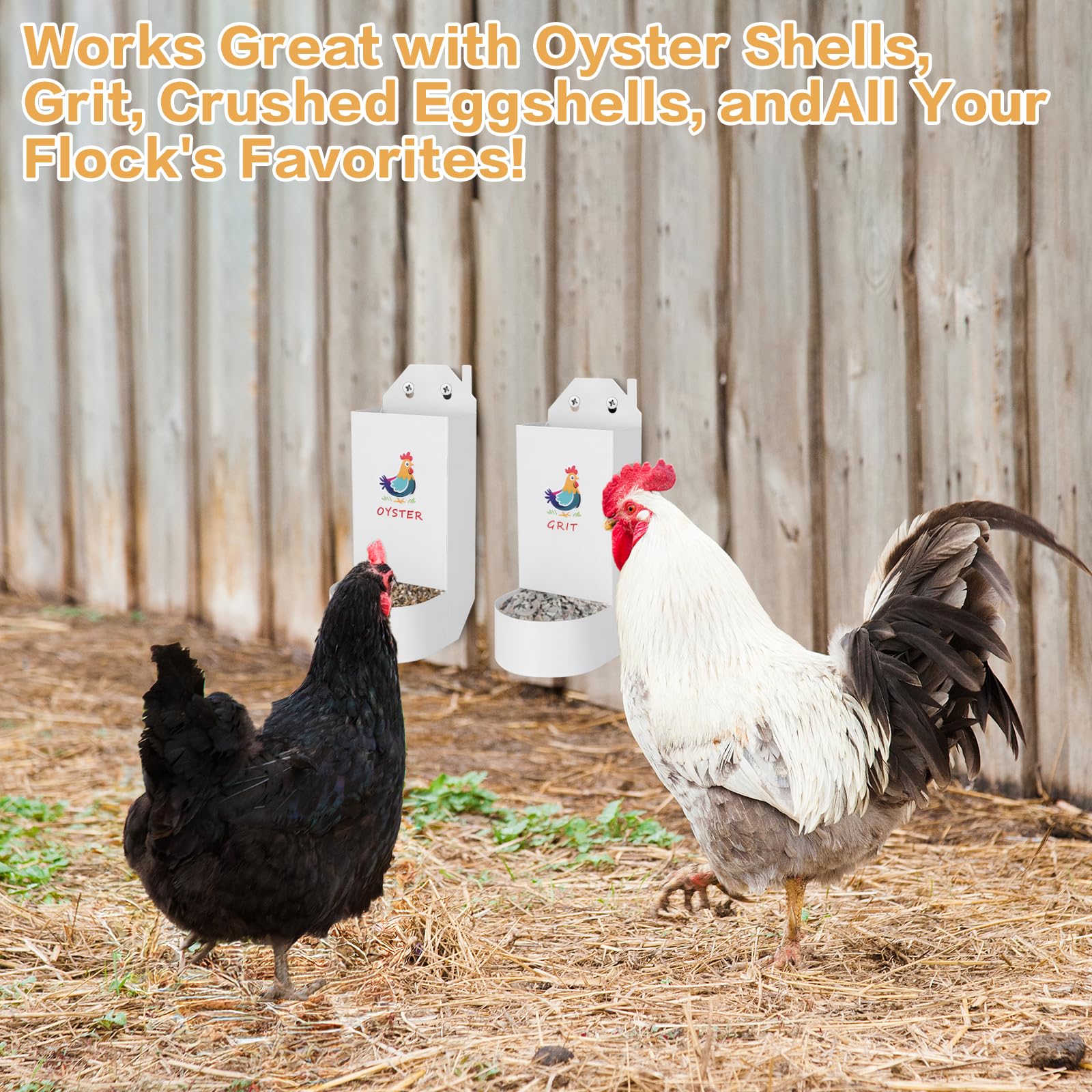 Chicken Grit and Oyster Shell Feeder,Metal Automatic Chicken Feeder,Chicken coop Accessories Poultry feeders, Suitable for Quail, Pigeons, Doves, Chicks, and Adult Chickens(2 Pcs)