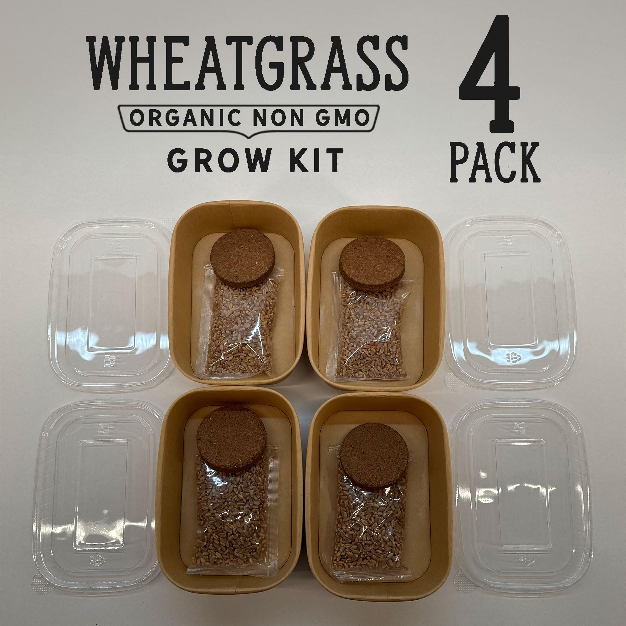 Organic Wheatgrass Cat Grass Premium Grow Kit 4 Pack | 100 % Wheatgrass Seeds Non‑GMO Seeds for Cats & Humans