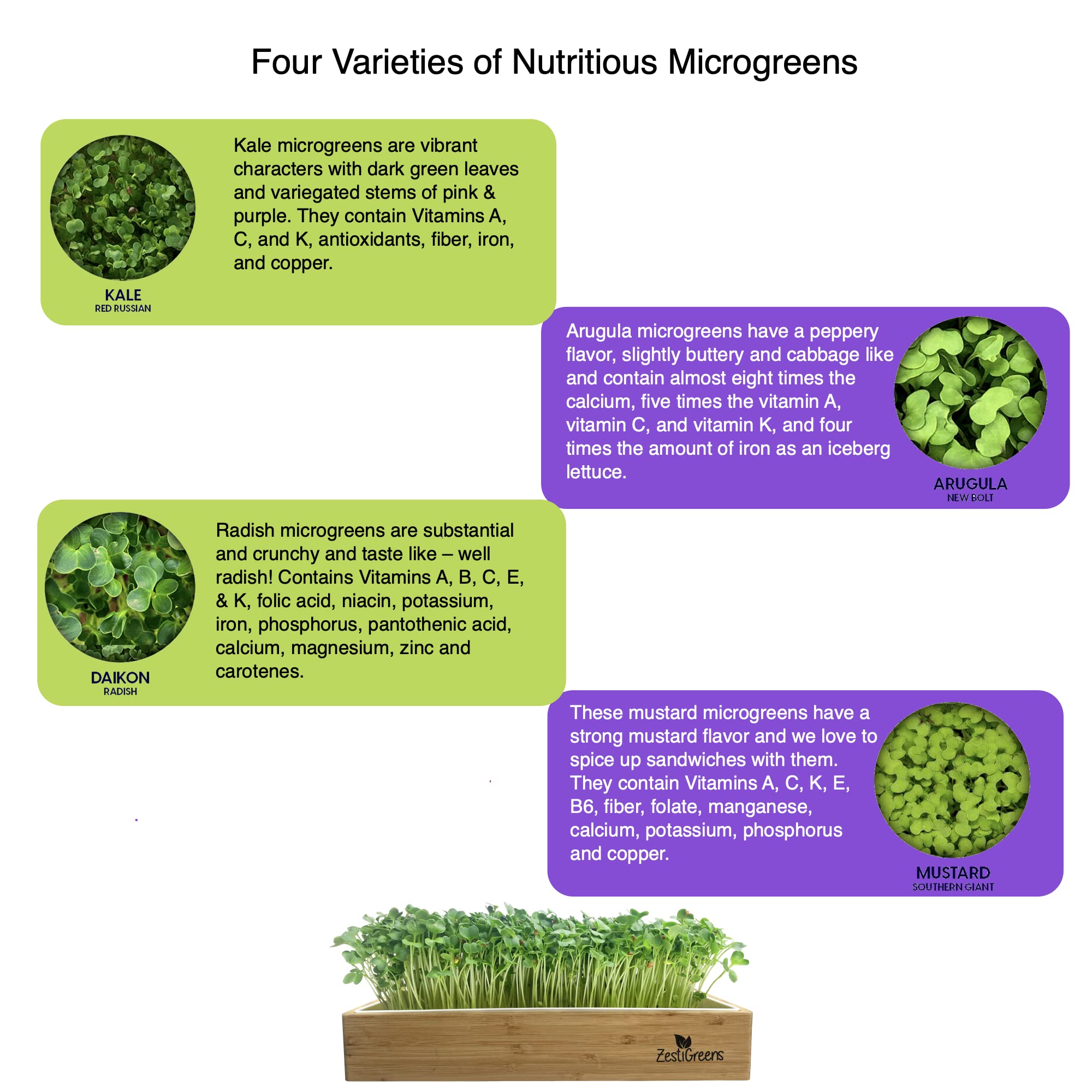 Microgreens Refill for Zestigreens Microgreens Growing Kit. Kale, Daikon Radish, Arugula & Mustard Organic Microgreens Seeds & 4 mats.