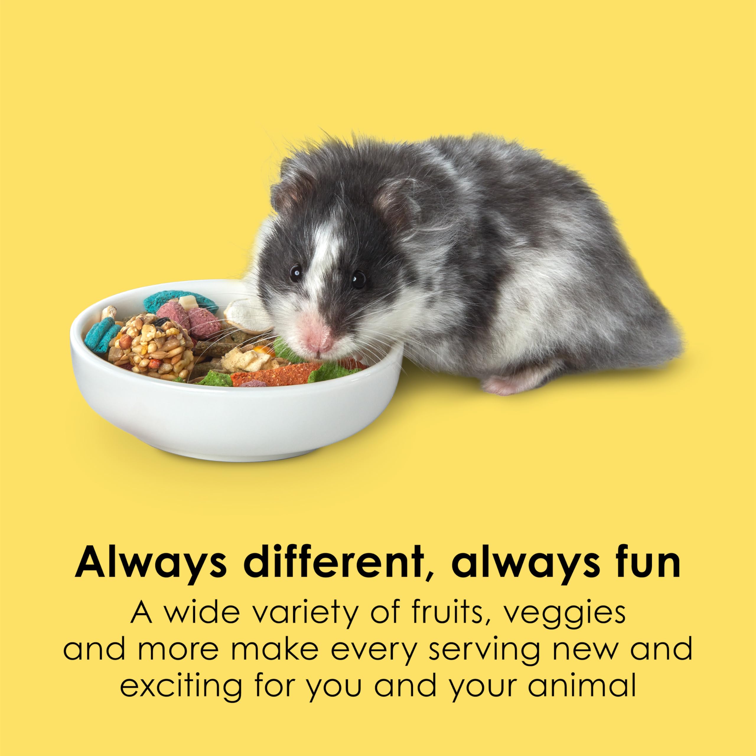 Kaytee Fiesta Hamster & Gerbil Food, Nutritious and Fun Blend, Supports Dental Health and Digestion, 4.5 pounds