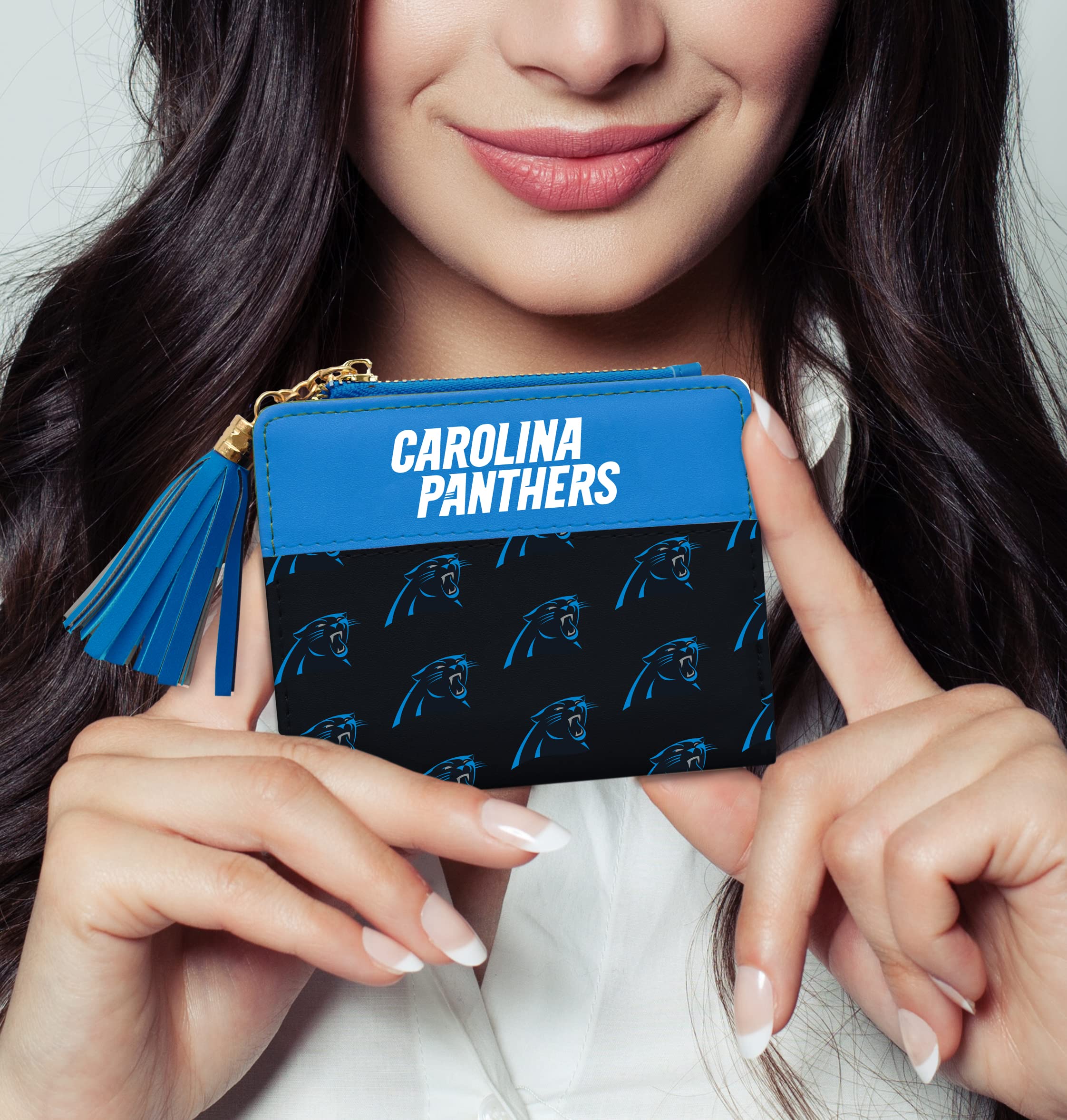 Littlearth Carolina Panthers NFL Mini Organizer