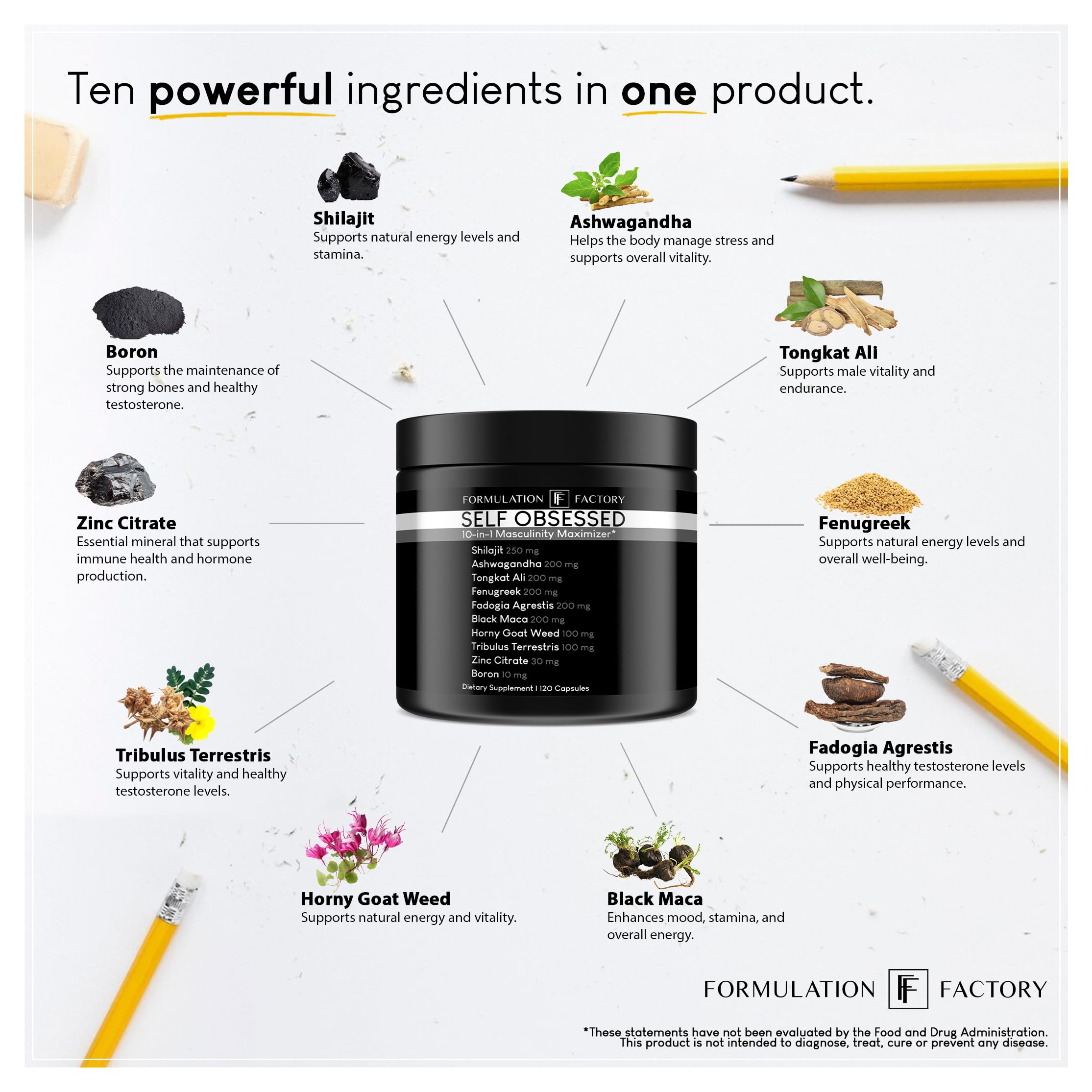 Self Obsessed 10 in 1 Masculinity Maximizer Supplement, Shilajit for Men, Tongkat Ali, Ashwaganda, Fenugreek & More, Muscle Growth, Energy Management, Drive, Strength, Recovery (2 Months)