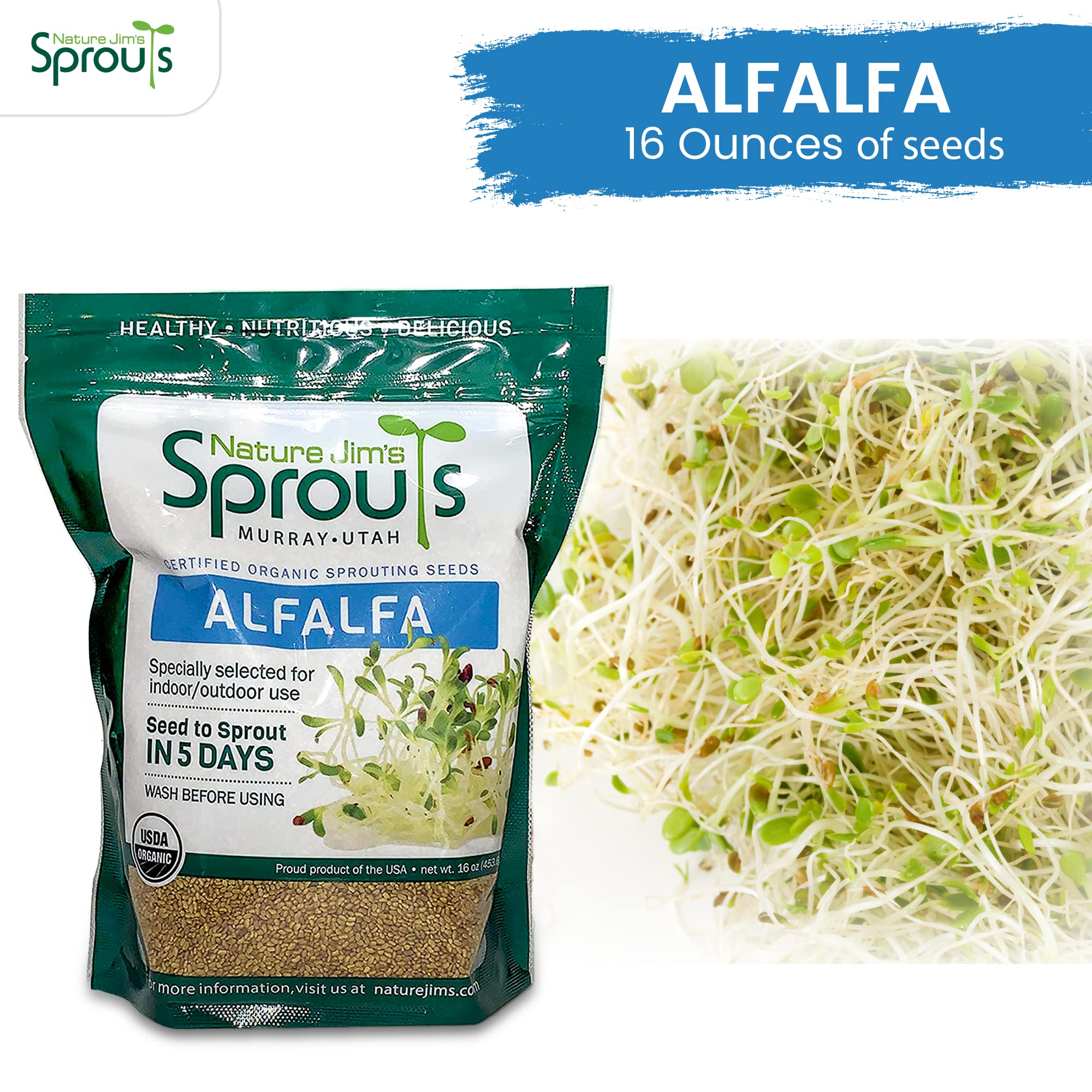 Nature Jims Sprouts Alfalfa Seeds – Non-GMO Organic Sprout Growing Kit for Planting – Premium Resealable Bag for Fresh Homegrown Sprouting Seeds – Rich in Nutrients, Vitamins, Fiber & Minerals – 16oz