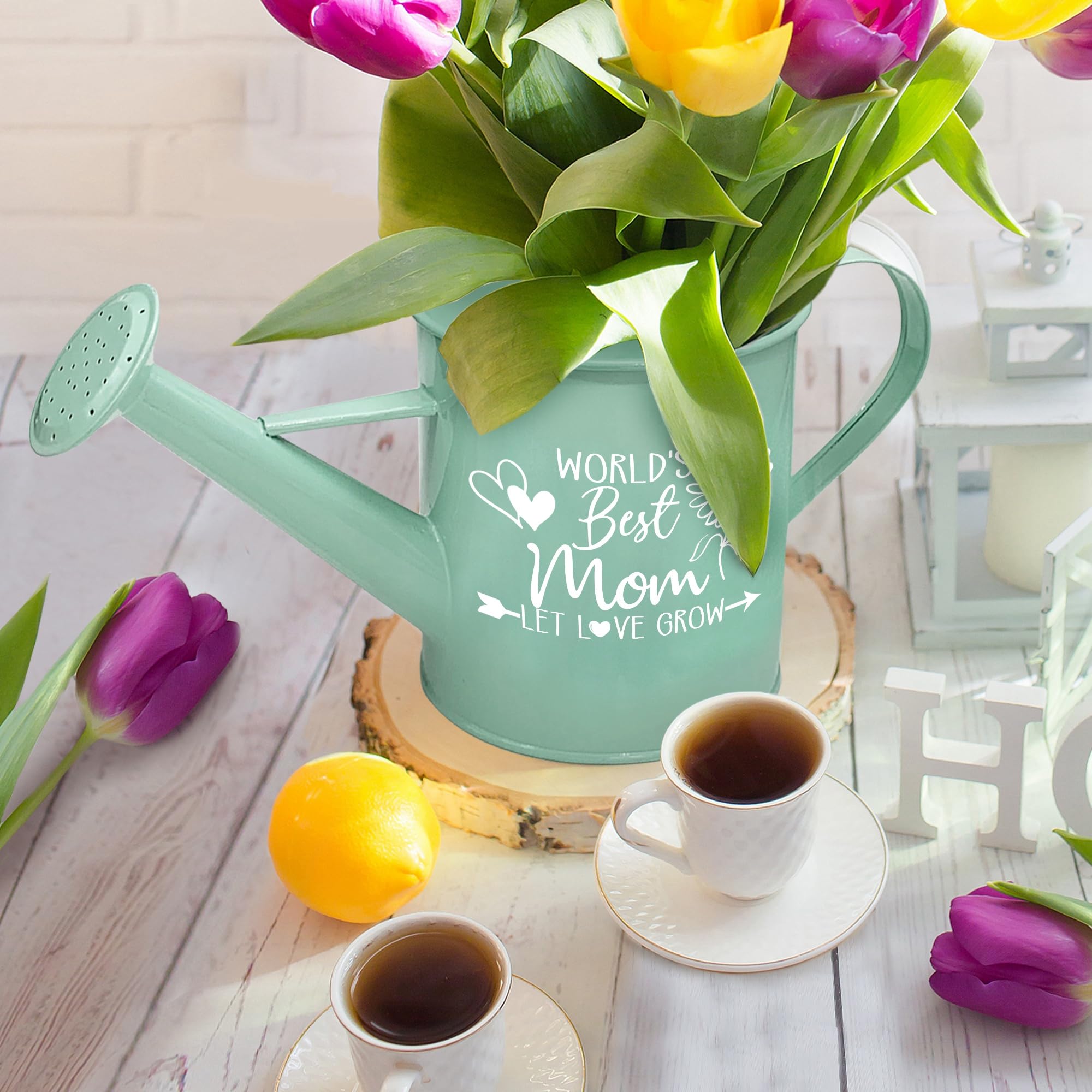 pinata Gifts for Mom from Daughter on Mothers Day, Mom Gifts for Mothers Day, Birthday Gifts for Mom from Daughters & Son, Best Mom Ever Garden Gifts, Mint Metal Watering Can for Mom Plant Lover