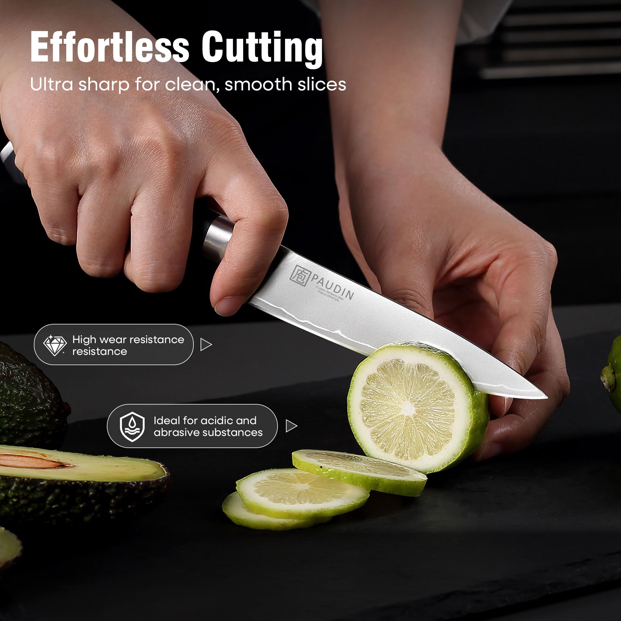 PAUDIN Kitchen Knife Set, 4 Pieces Chef Knife Set, High Carbon Stainless Steel Knife Set, Ultra-Sharp Knives Set for Kitchen with Ergonomic Wooden Handle, Gifts for Men and Women