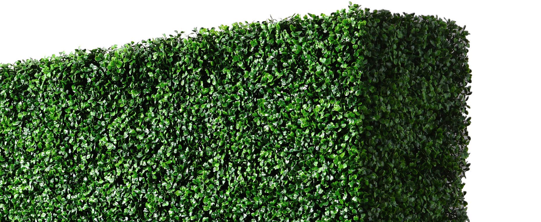 AGPL Upgraded Artificial Boxwood Hedge Wall with Gray Color Planter Room Divider and Privacy Wall Backdrops (48" H 48" W 12" D)