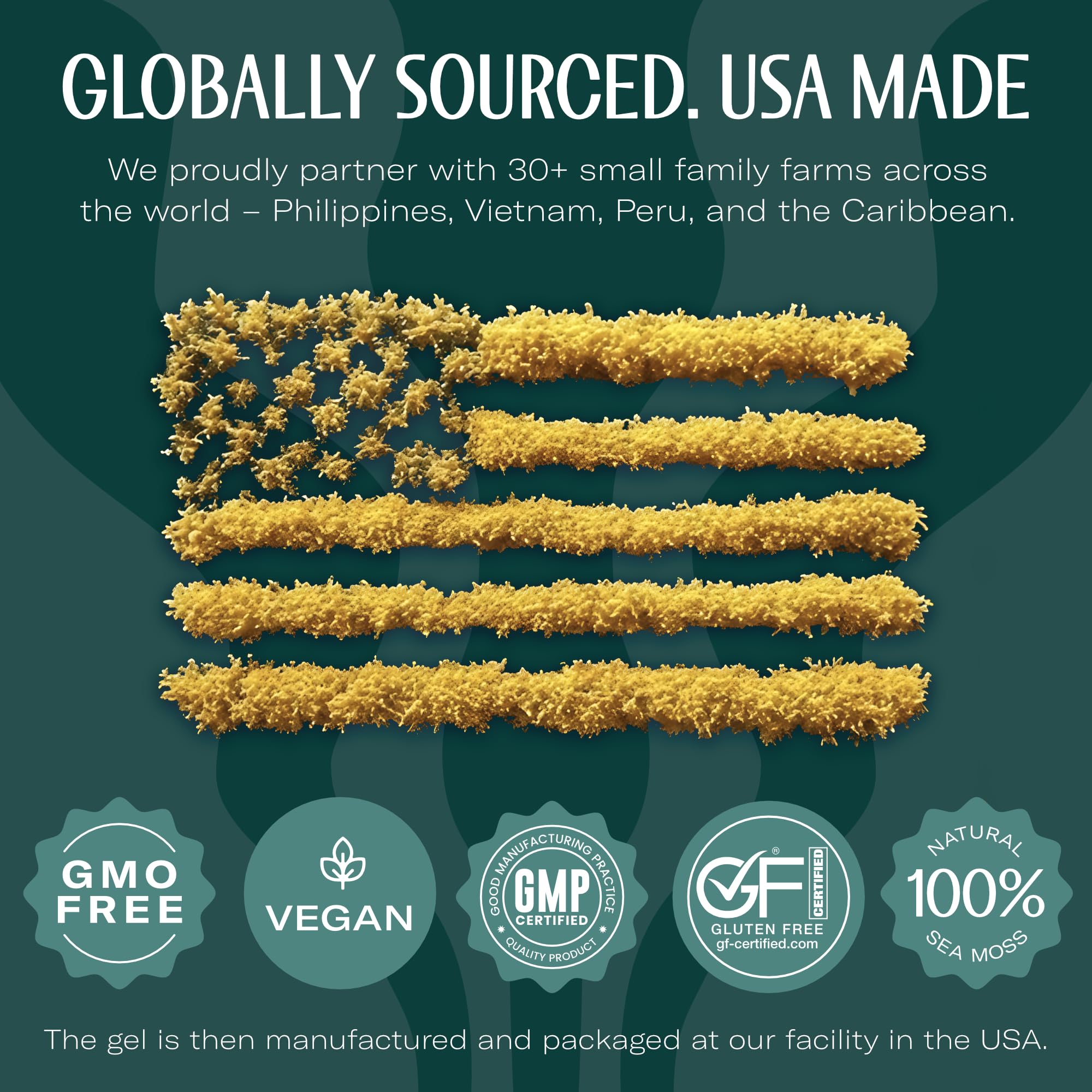 TrueSeaMoss Wildcrafted Irish Sea Moss Gel - Seamoss, Gut Health & Antioxidant Supports - Made in USA (Mango/Pineapple, Pack of 1)