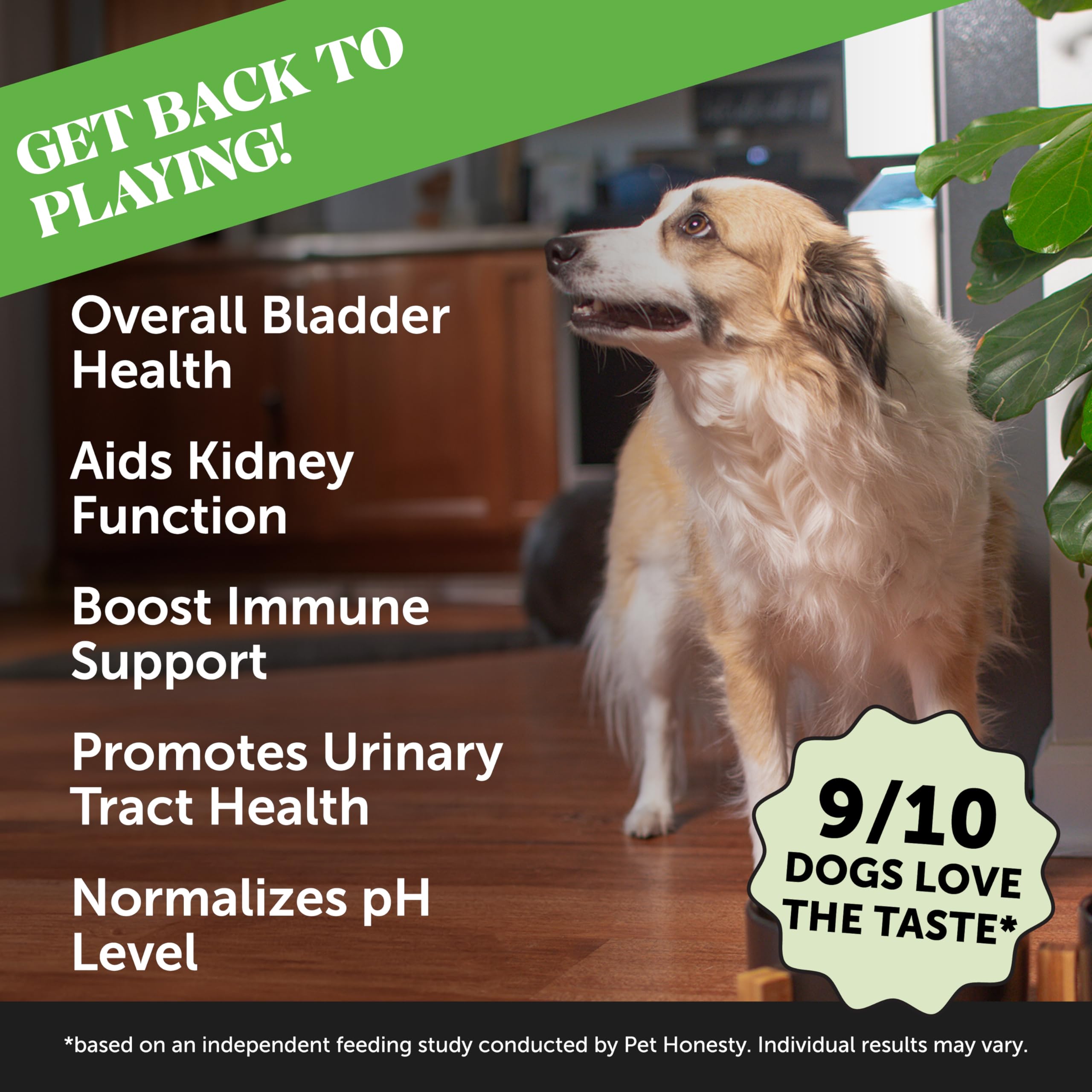 Pet Honesty Cranberry Bladder Health for Dogs – Contains Active Ingredients - Cranberry & D-Mannose to help support Dog Urinary Tract Health, Dog Bladder Support, & Kidney Support for Dogs (Bacon)