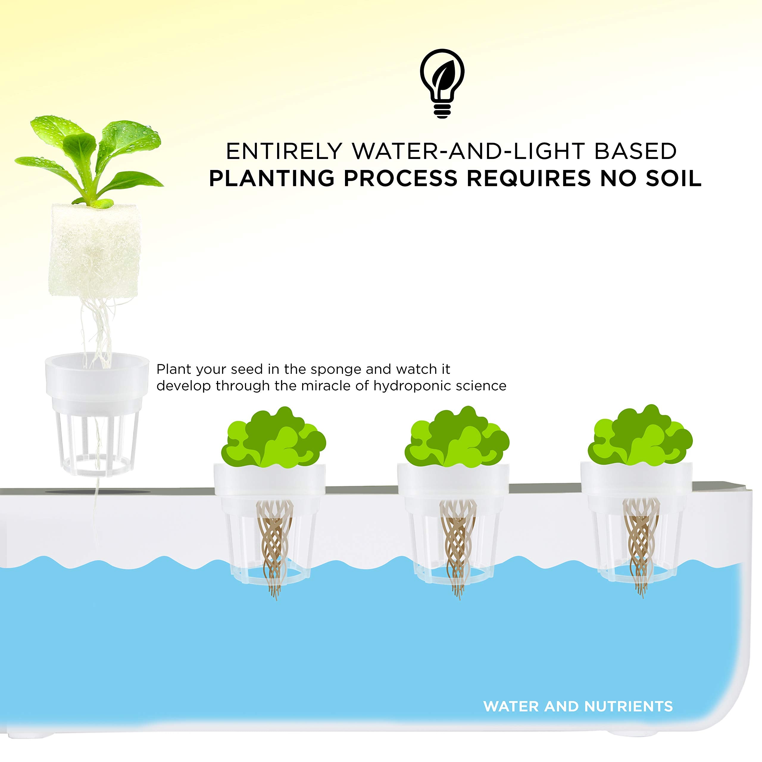 Ivation 20 Germination Sponges for IVAHG20 Indoor Herb Grower