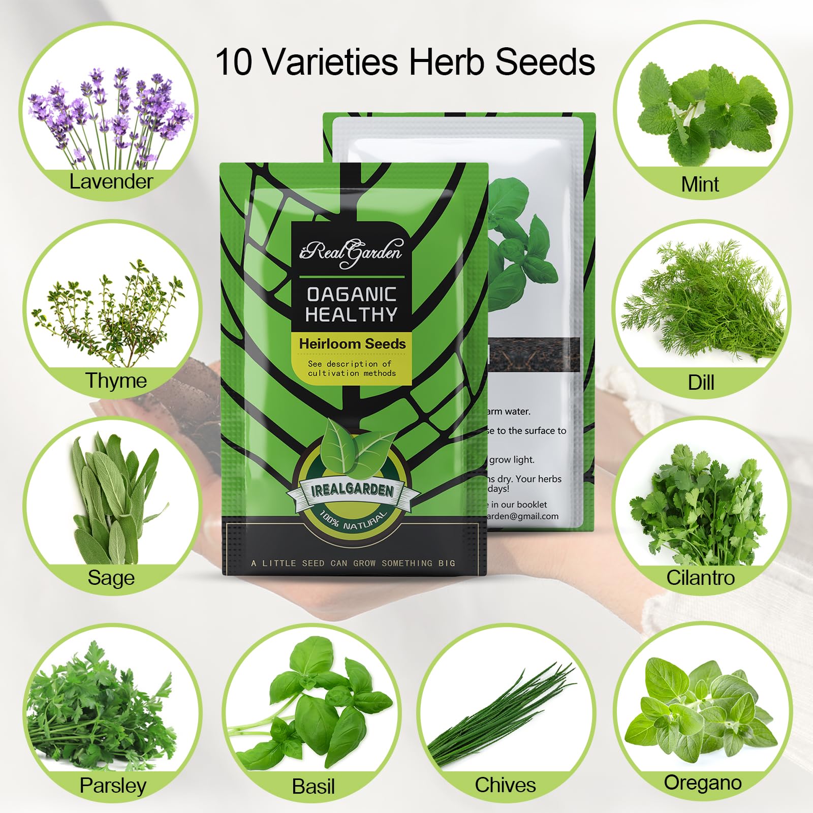 Herb Garden Kit Indoor Herb Starter Kit - 10 Variety Herbs with Complete Herb Growing Kit - Kitchen Window Herb Garden - Unique Gardening Gifts for Women & Men