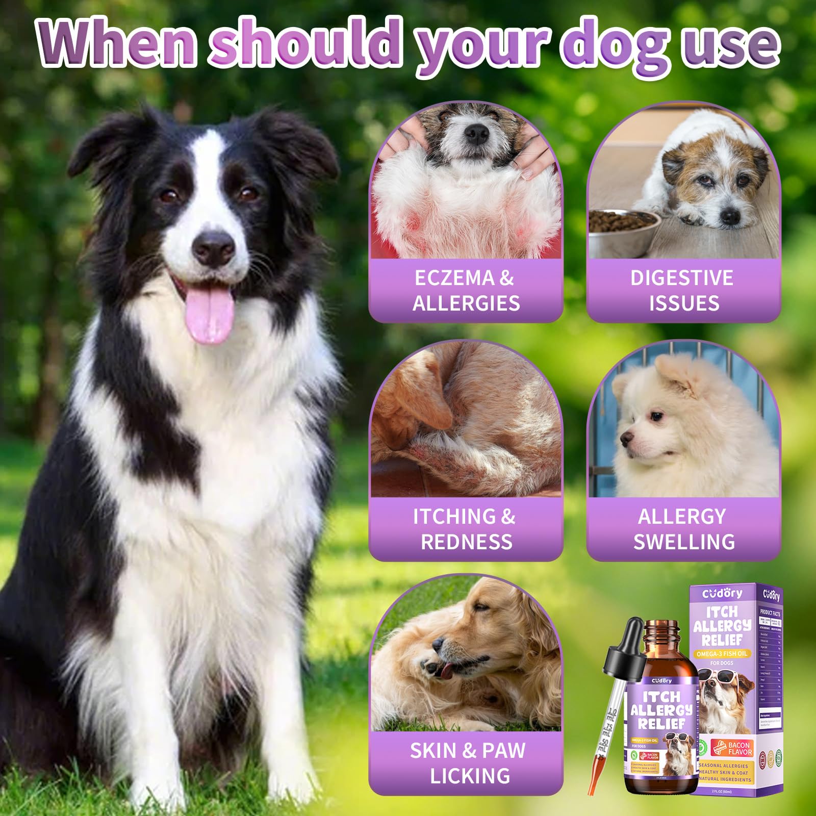 Gut & Digestive Skin Support for Cats and Dogs - Cat Probiotics Soft Chews + Dog Allergy Relief Drops- Healthy Skin, Coat,Gut Support for Cat or Dog Supplements & Vitamins