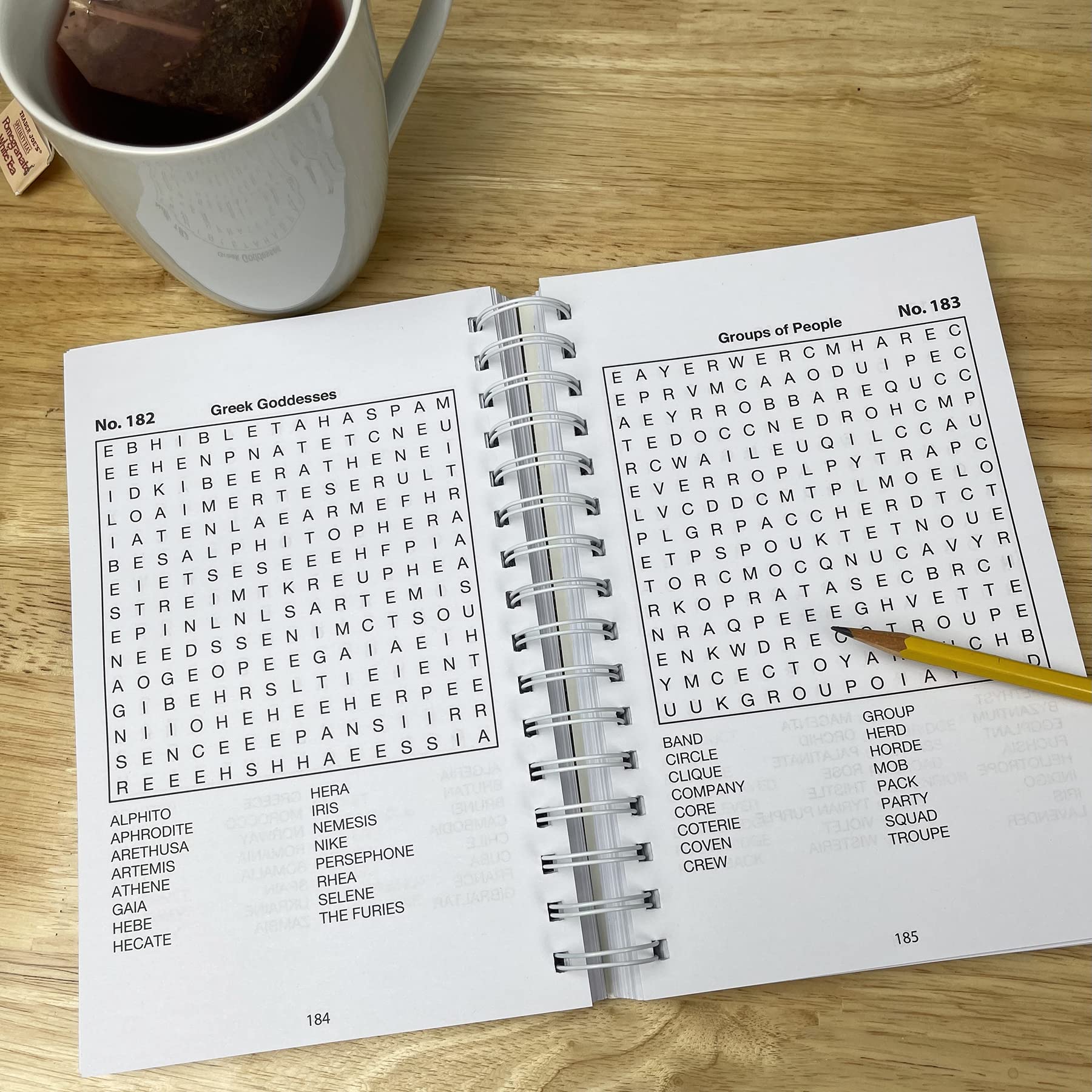 Word Search Puzzles (Big Book of Puzzles) (Brain Busters)