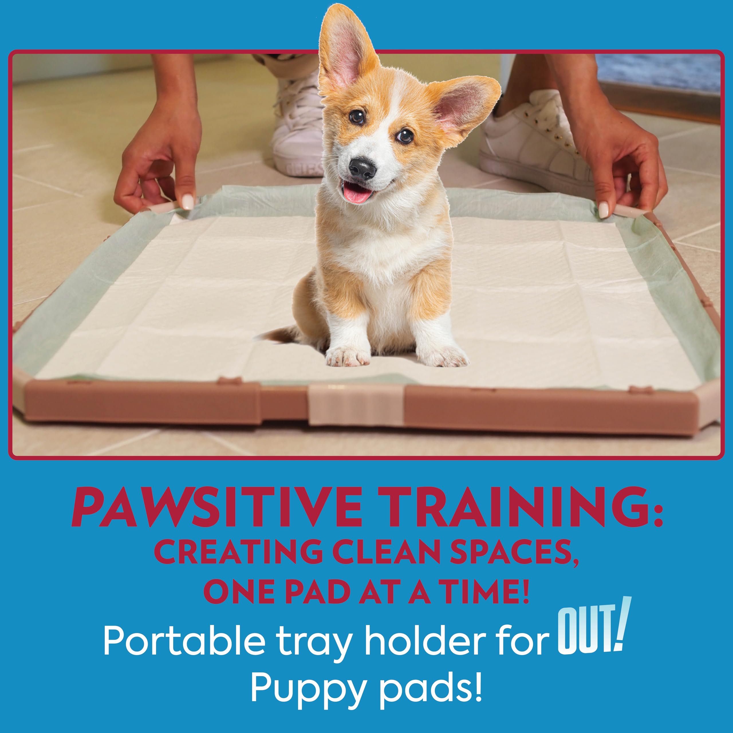 OUT! PetCare Dog Pad Holder Tray, Safe, Effective, Dog Pee Pad Tray, Puppy Pad Tray, Potty Pad Holder for Dogs and Puppies, Indoor Potty Tray for Dogs - 21x21