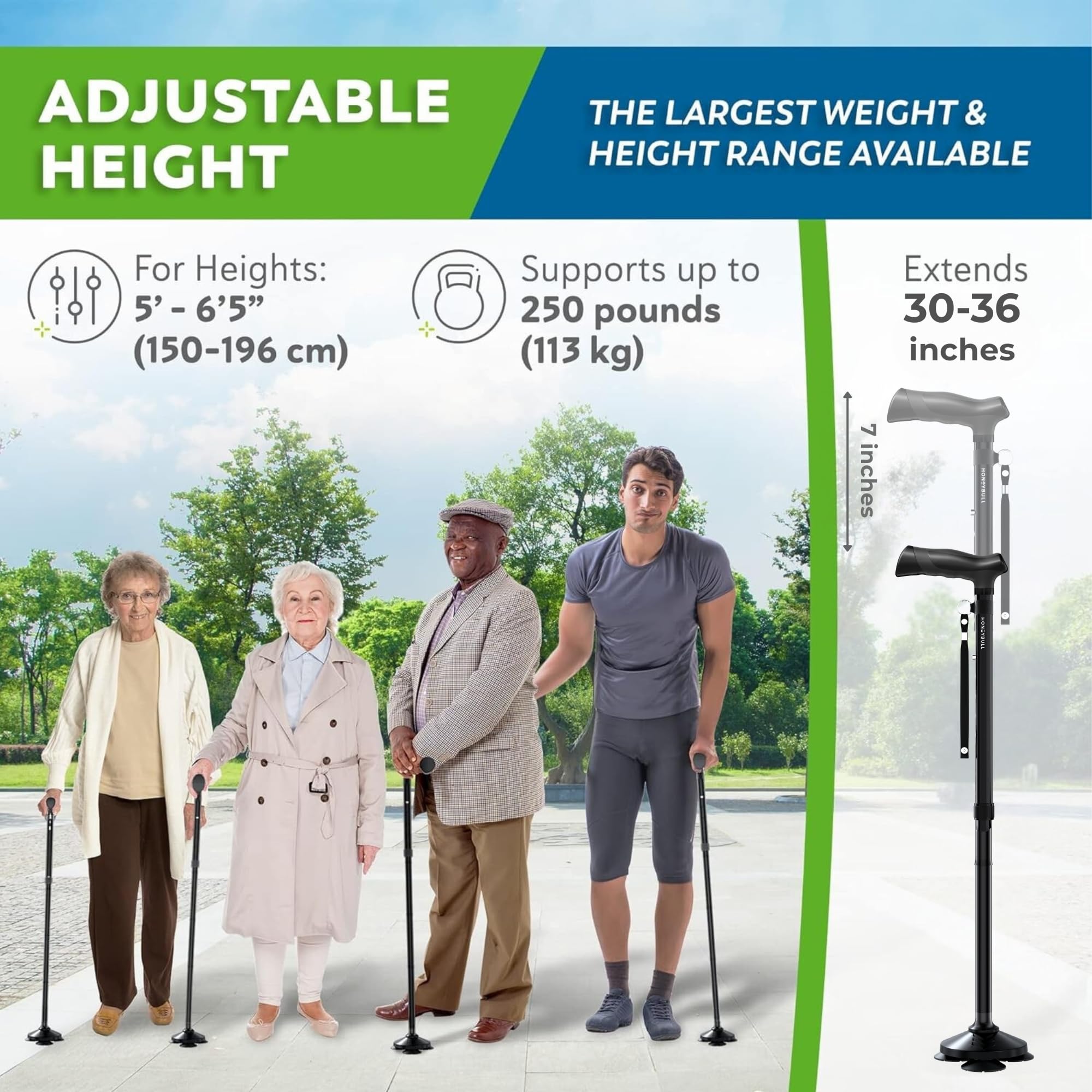 HONEYBULL Walking Cane for Men & Women Foldable, Adjustable, Heavy Duty, Free Standing, All Terrain, Collapsible Walking Sticks for Seniors & Adults (Black)