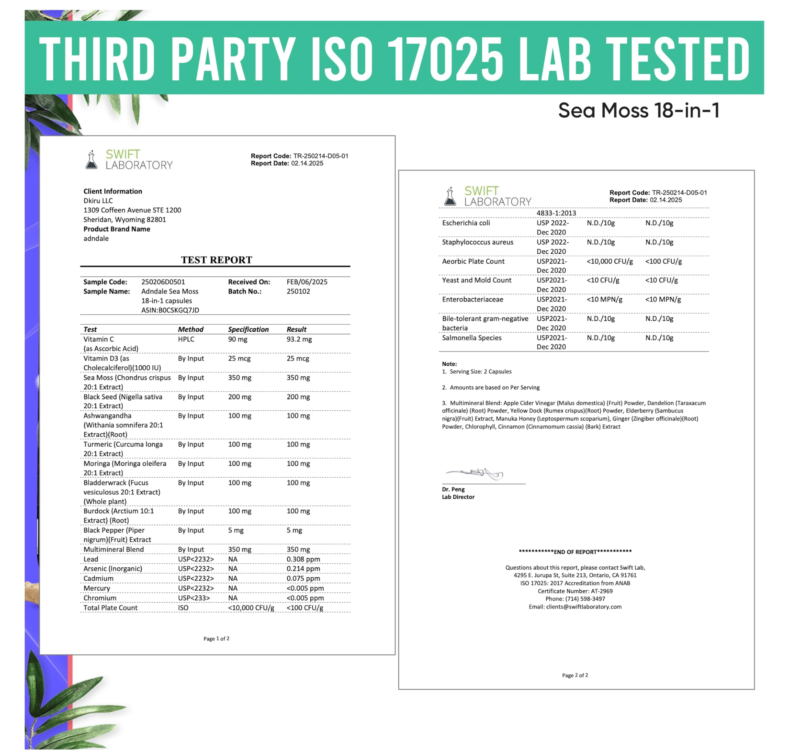 Adndale Sea Moss Black Seed Oil Ashwagandha Ginger Capsules. SeaMoss Capsules with Black Seed Oil, Ashwagandha, Turmeric, Moringa, Bladderwrack, Burdock Root, Manuka Honey, Cinnamon