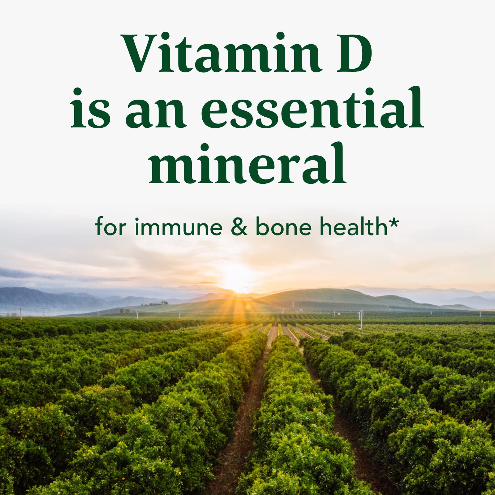 MegaFood Vitamin D3 5000 IU (125 mcg) - Vegetarian Vitamin D Supplements with Vitamin D3 K2, Supports Bones, Teeth, Muscles & Immune Health, Certified Non-GMO - 60 Mini Capsules, 60 Servings