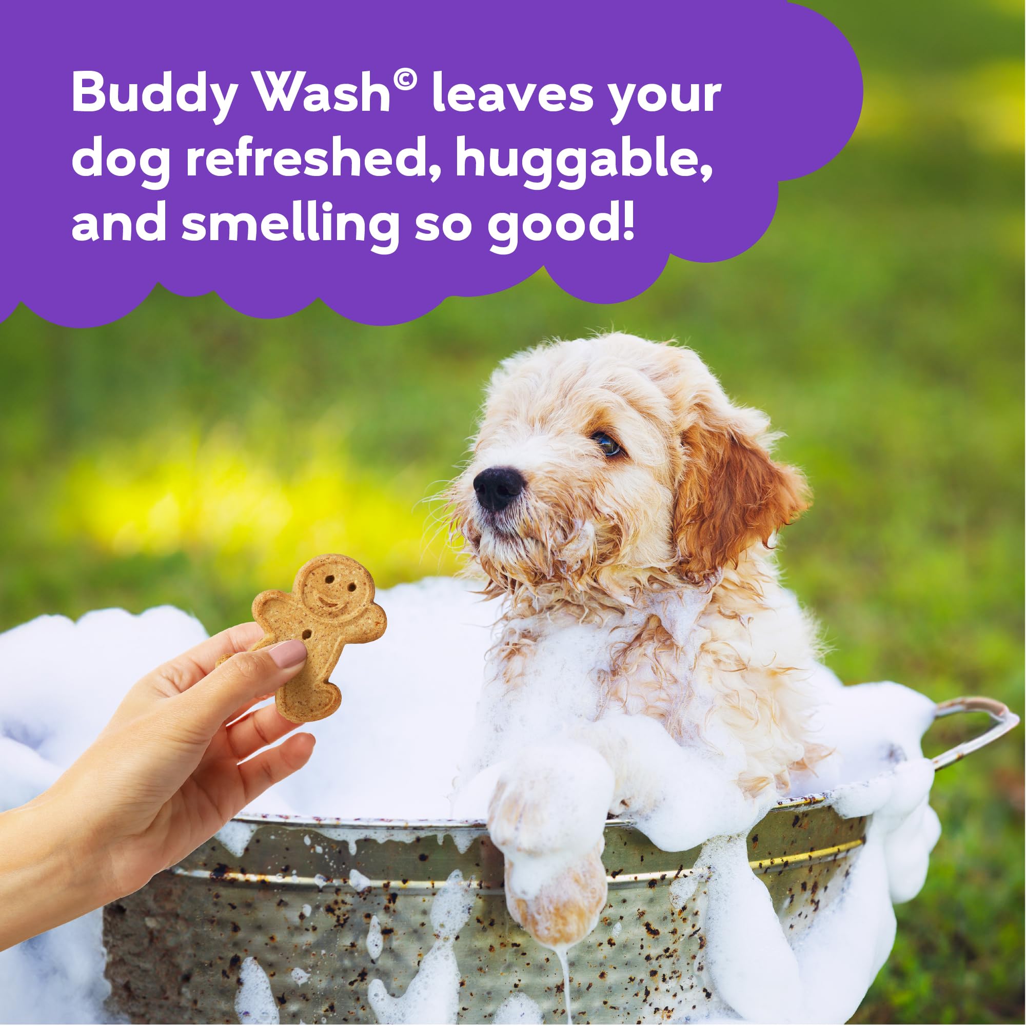 Buddy Wash 2-in-1 Dog Shampoo and Conditioner for Dog Grooming, Lavender & Mint, 1 gal. Bottle