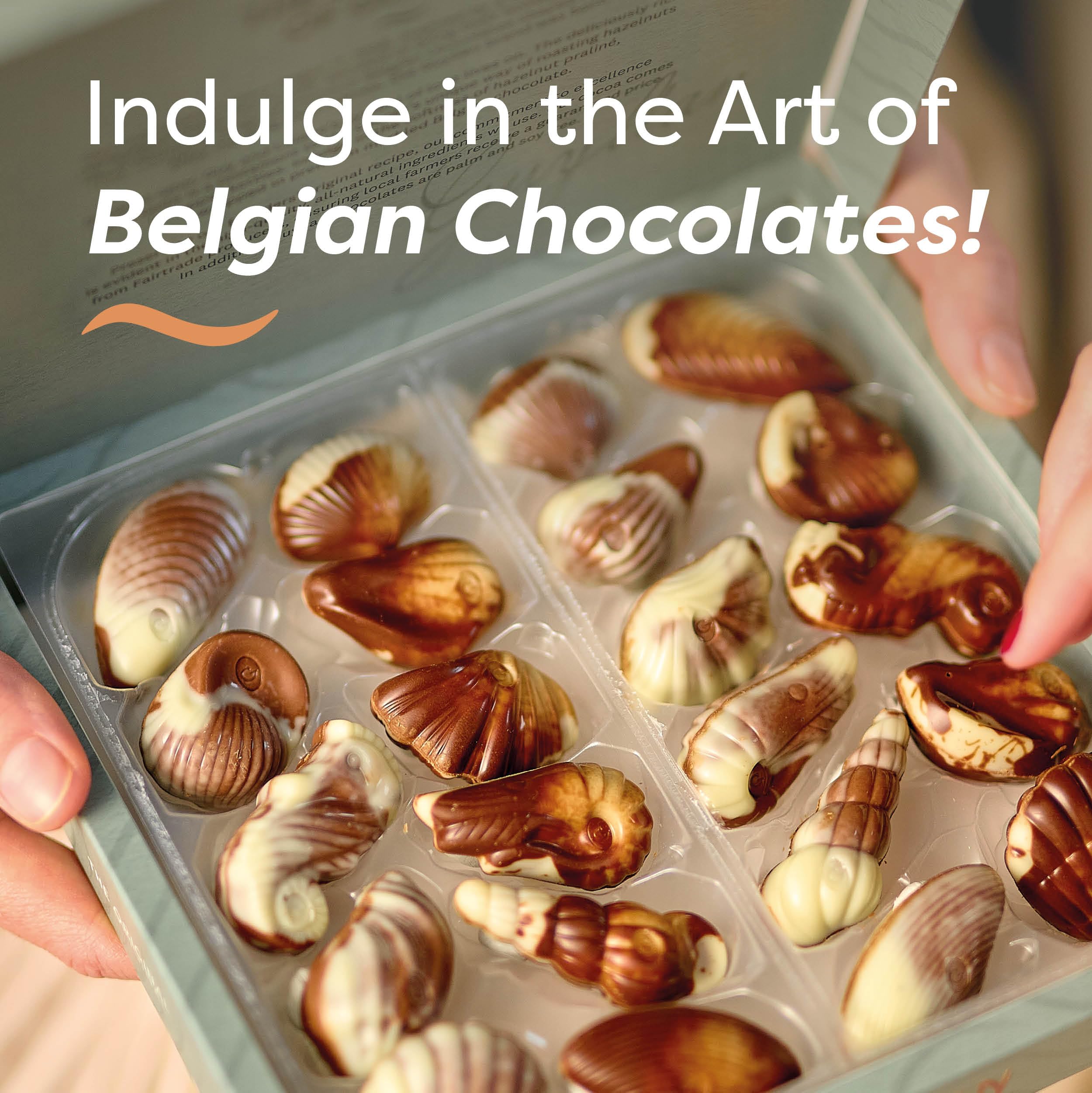 GuyLian Original Belgian Chocolate Seashells 250g Gift Box (Pack of 2): Each Contains Twenty-Two Pieces of Silky Smooth Seashell-Shaped Milk Chocolate with a Creamy Hazelnut Praliné Filling