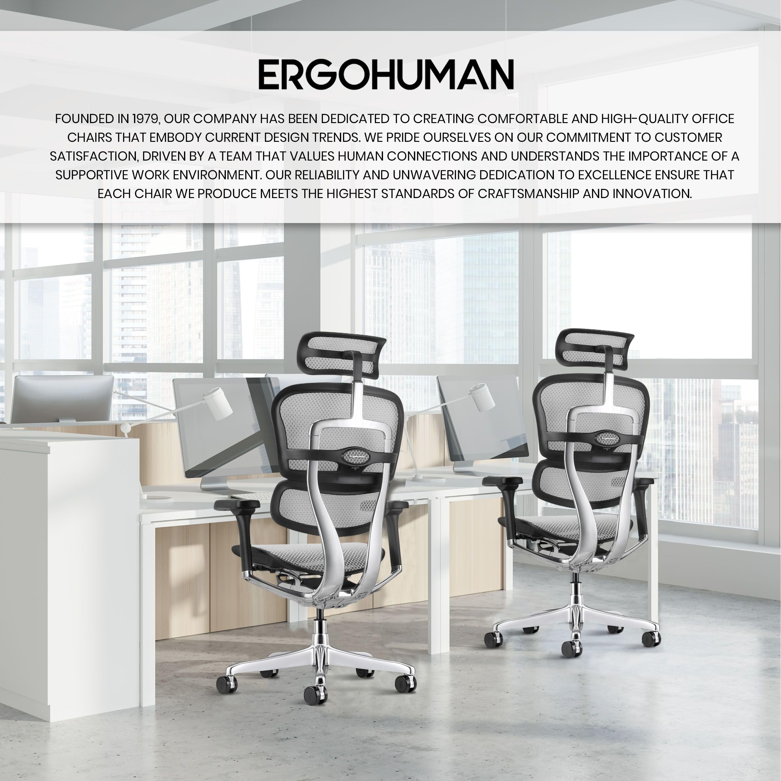 Ergohuman Eurotech GEN2 High Back, Mesh Executive Office Chair with Adjustable Lumbar Support – Ergonomic Tilt Control, Seat Slider, Armrests and Headrest Adjustment, Grey