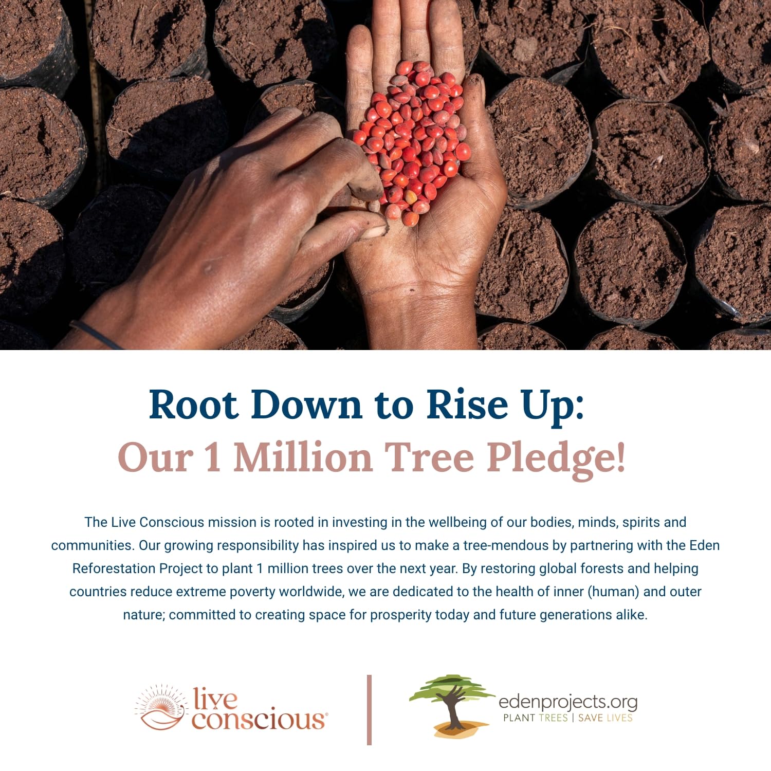 OmegaWell Omega 3 Fish Oil - 2000mg Capsules: Heart, Brain, & Joint Support - 800 mg EPA 600 mg DHA - w/Natural Lemon Oil, Sustainably Sourced - Mini Softgels - 30 Day Supply