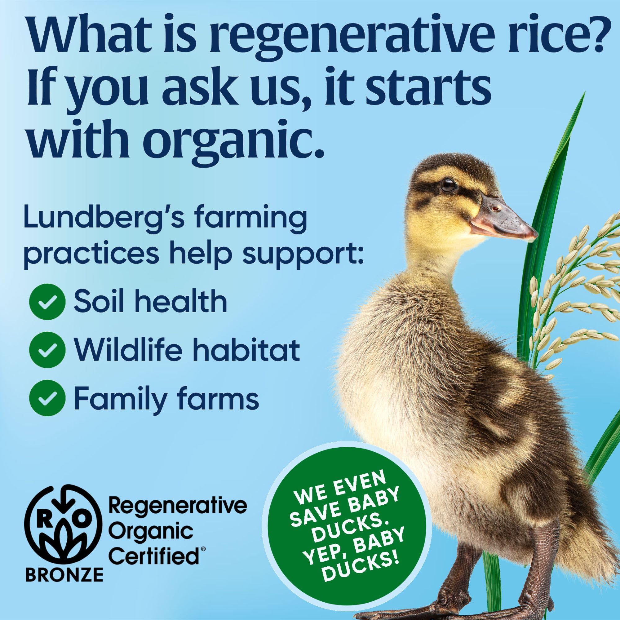 Lundberg Gluten-Free Brown Rice Organic Rice Cakes -- 8.5 oz