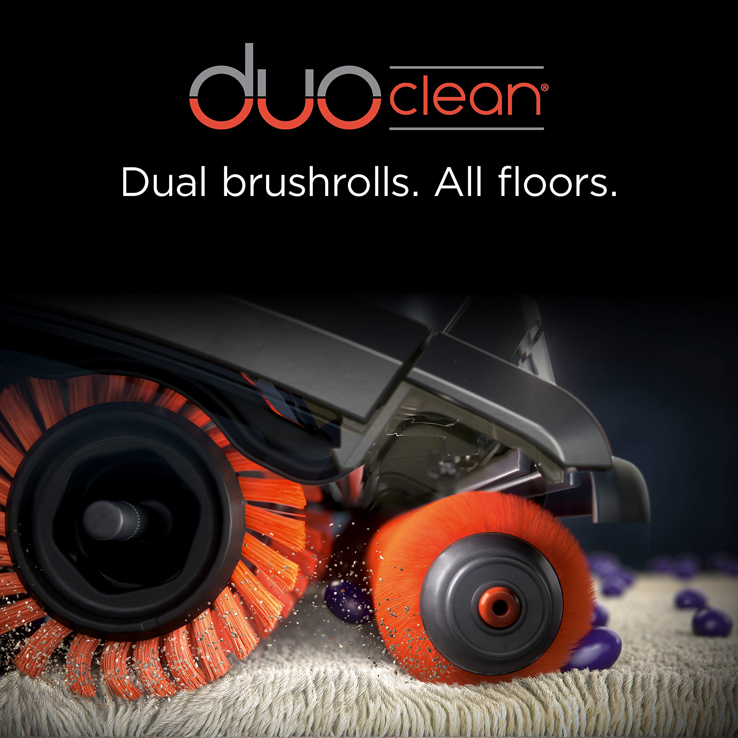 Shark ZU782 Rotator Lift-Away DuoClean Pro Upright Vacuum with Self-Cleaning Brushroll, HEPA Filter, Headlights, Swivel Steering, Upholstery Tool, Pet Power Brush & Crevice Tool, Sage Green