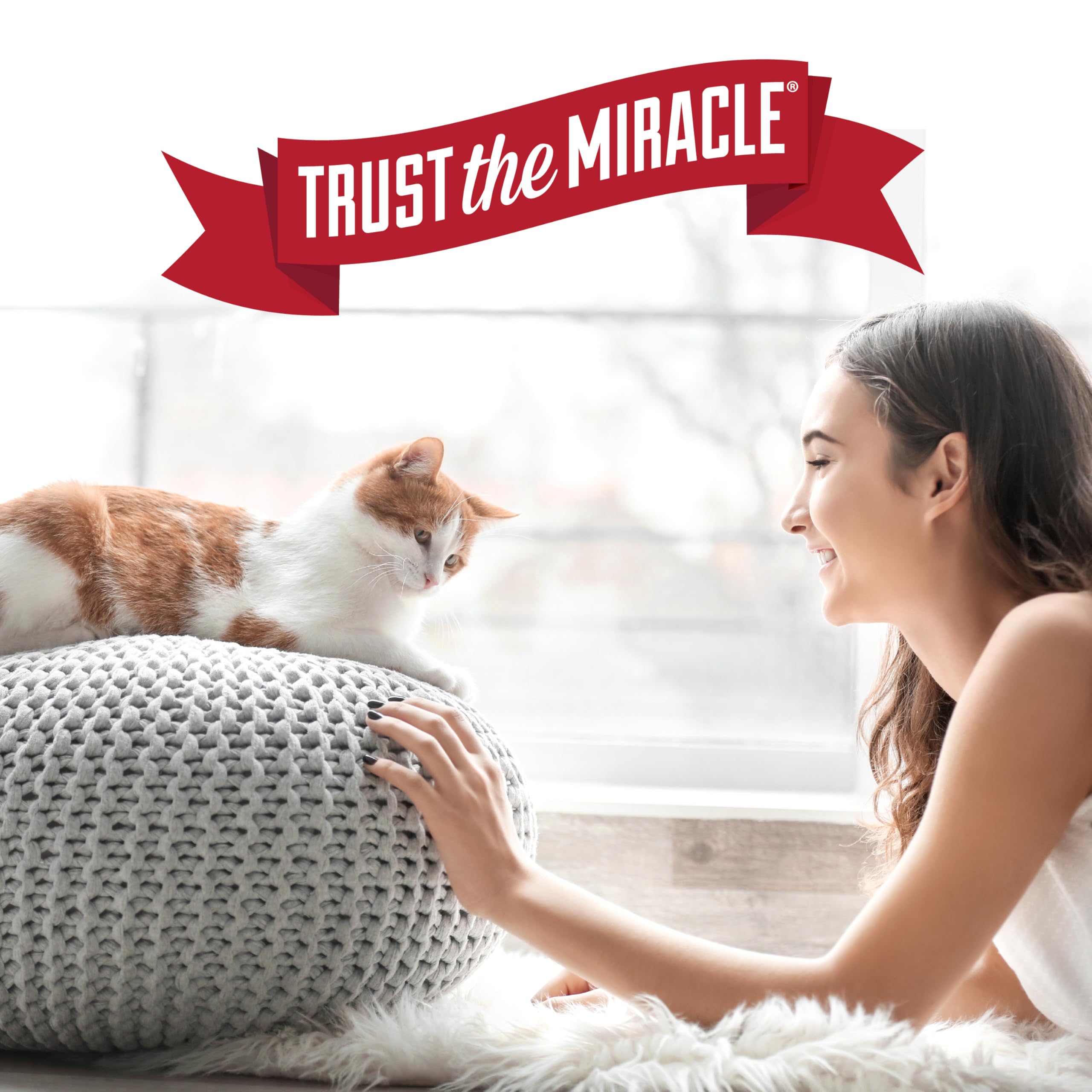 Nature’s Miracle Cat Stain and Odor Remover With New Odor Control Formula 32 Ounce Spray