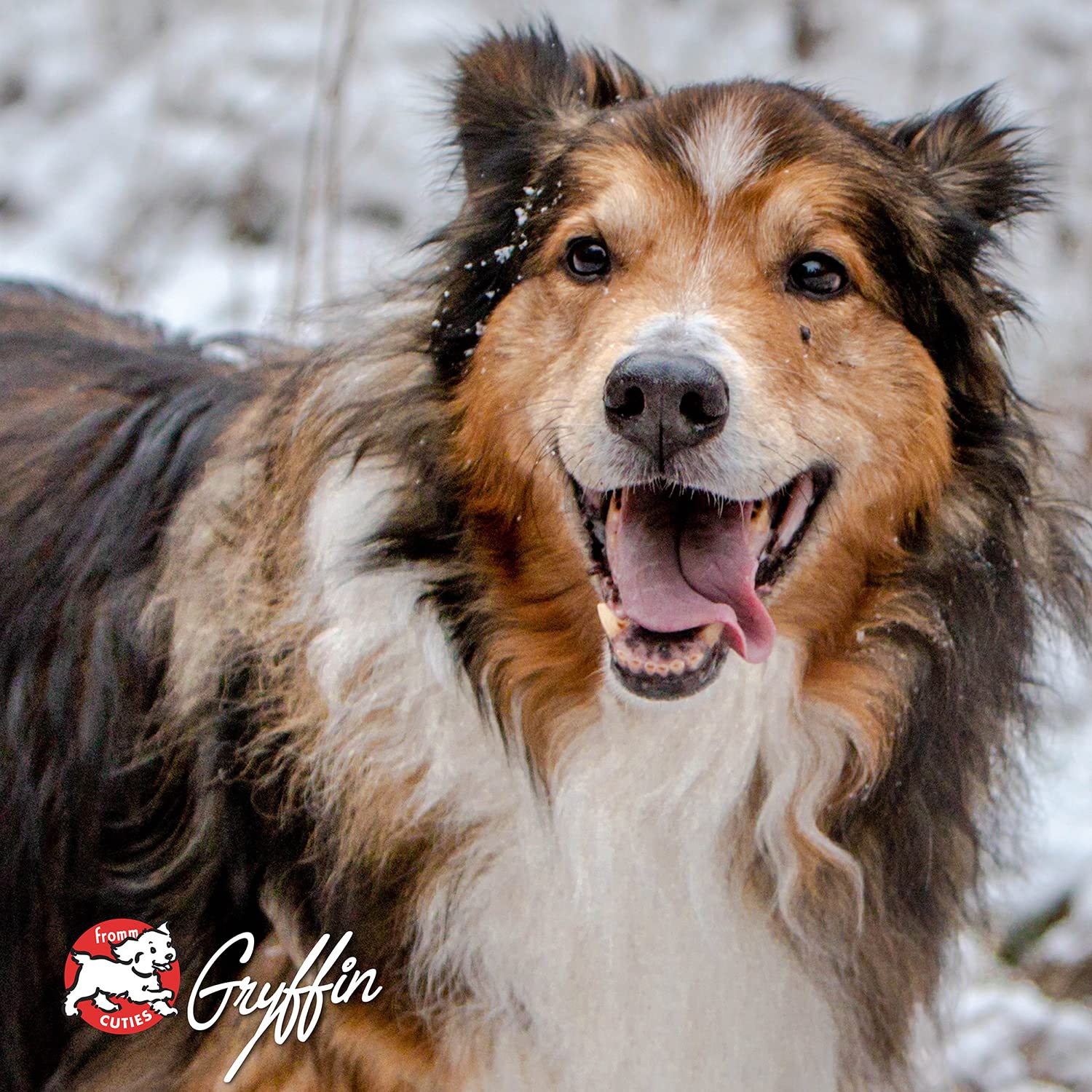 Fromm Family Foods 727009 Lamb & Lentil Dry 12 Lb Bag Dog Food (1 Pack), One Size