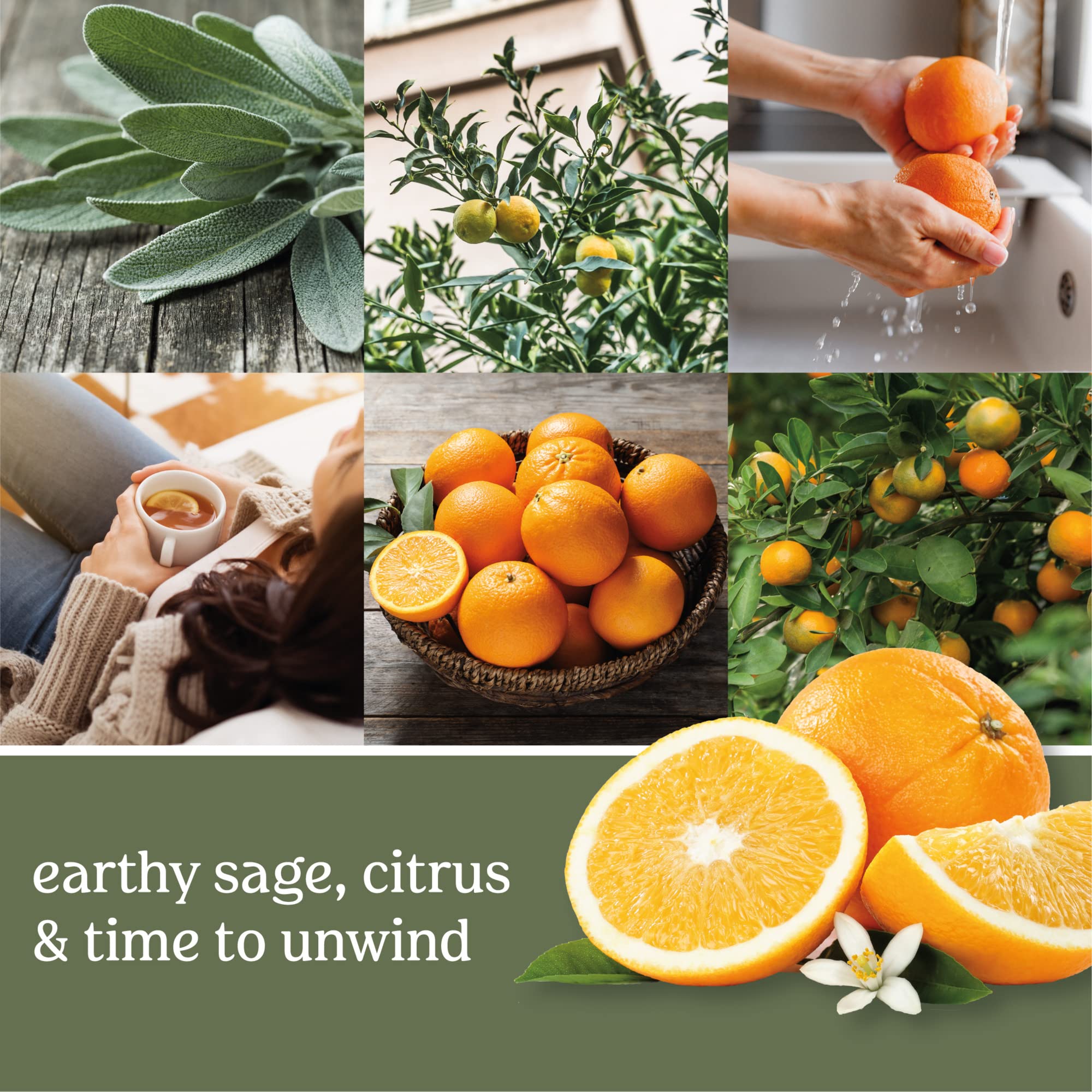 Yankee Candle Sage & Citrus Scented, 22oz Single Wick Candle, Over 110 Hours of Burn Time, Ideal for Home Decor and Gifts, Classic Large Jar, Ivory
