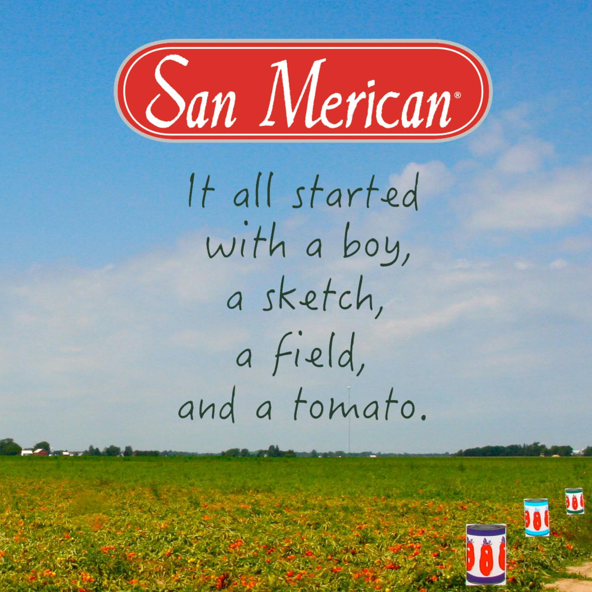 SMT San Merican Tomato Whole Peeled Tomatoes, 28oz (Pack of 6) - Grown in United States