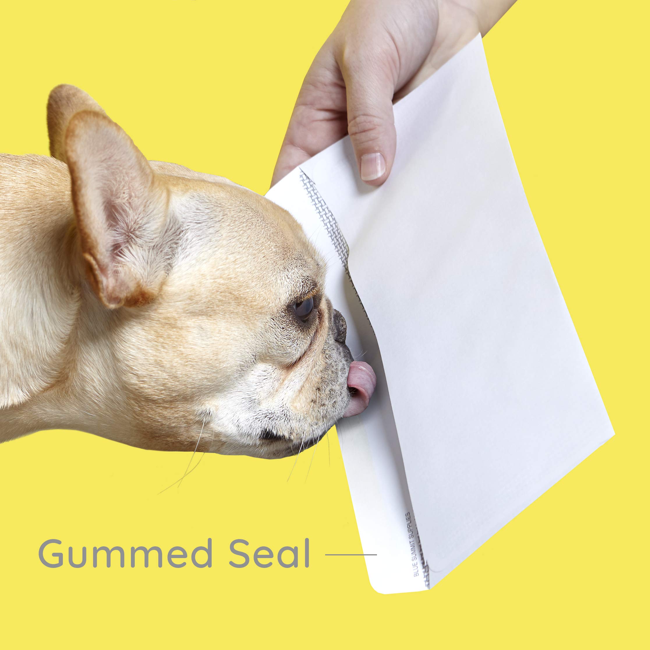 500#8 Gummed Double Window Security Check Envelopes - Designed for QuickBooks Checks, Business Mailing, and Security - Computer Printed Checks - Gummed Flap - 3 5/8 X 8 11/16