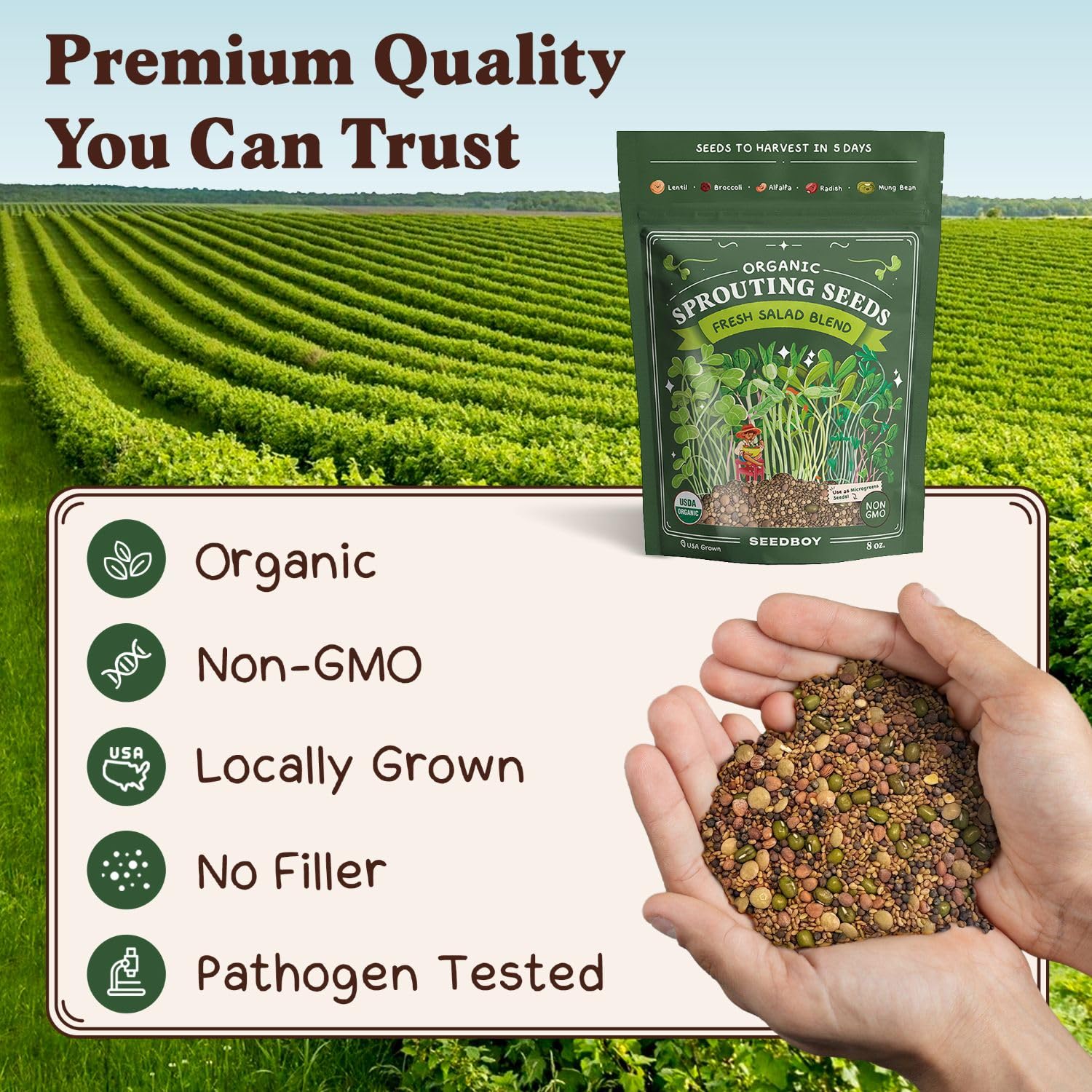 Seedboy Organic Non-GMO Sprouting Seeds, Fresh Salad Blend – USA Grown Microgreens Mix with Alfalfa, Broccoli, Radish, Mung Bean & Lentil – 8 oz Bag Makes 8 Quarts / 24 Servings (Salad Blend)