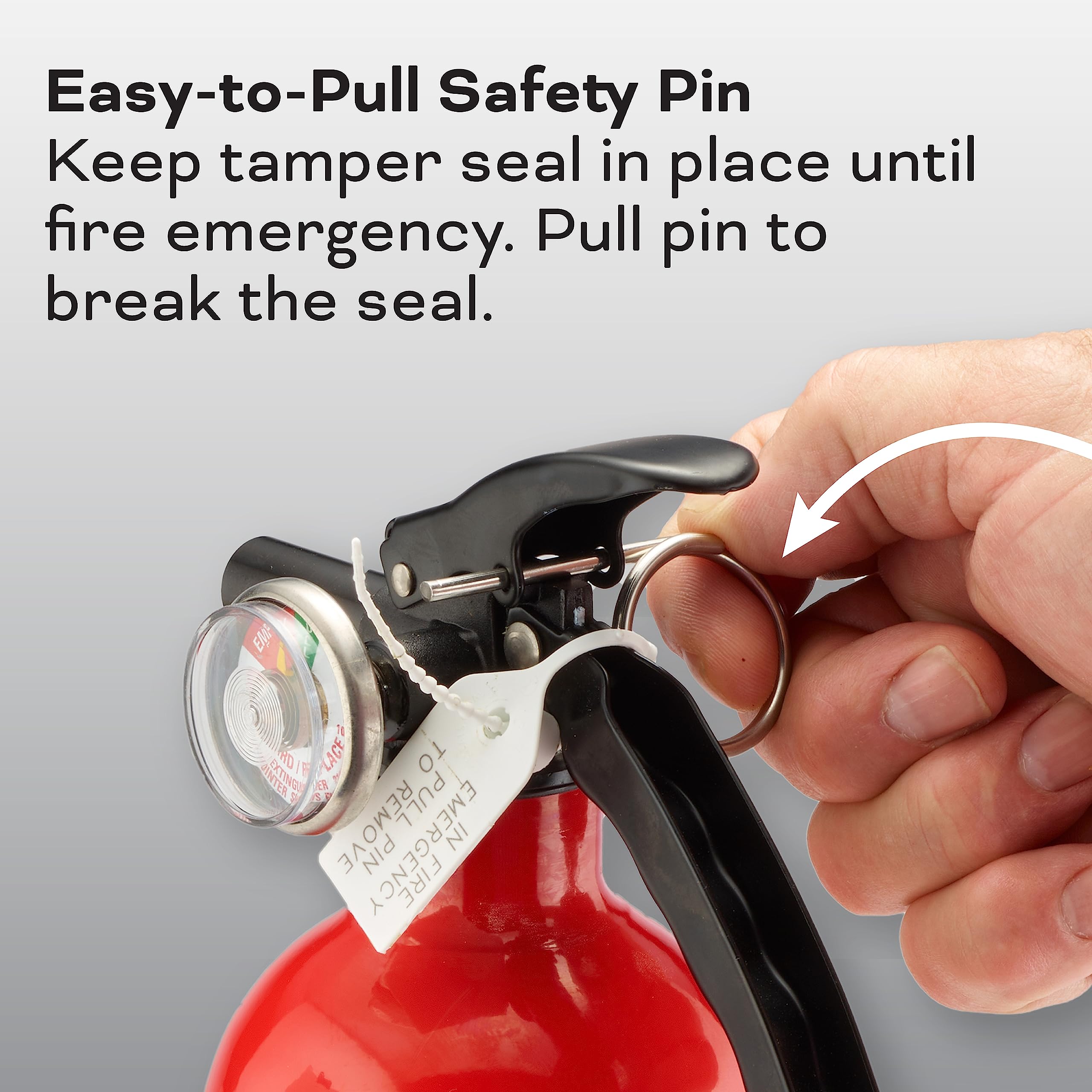 Kidde Fire Extinguisher for Home & Office Use, 2-A:10-B:C, 7.13 Lbs., Hose & Wall Mount (Included)