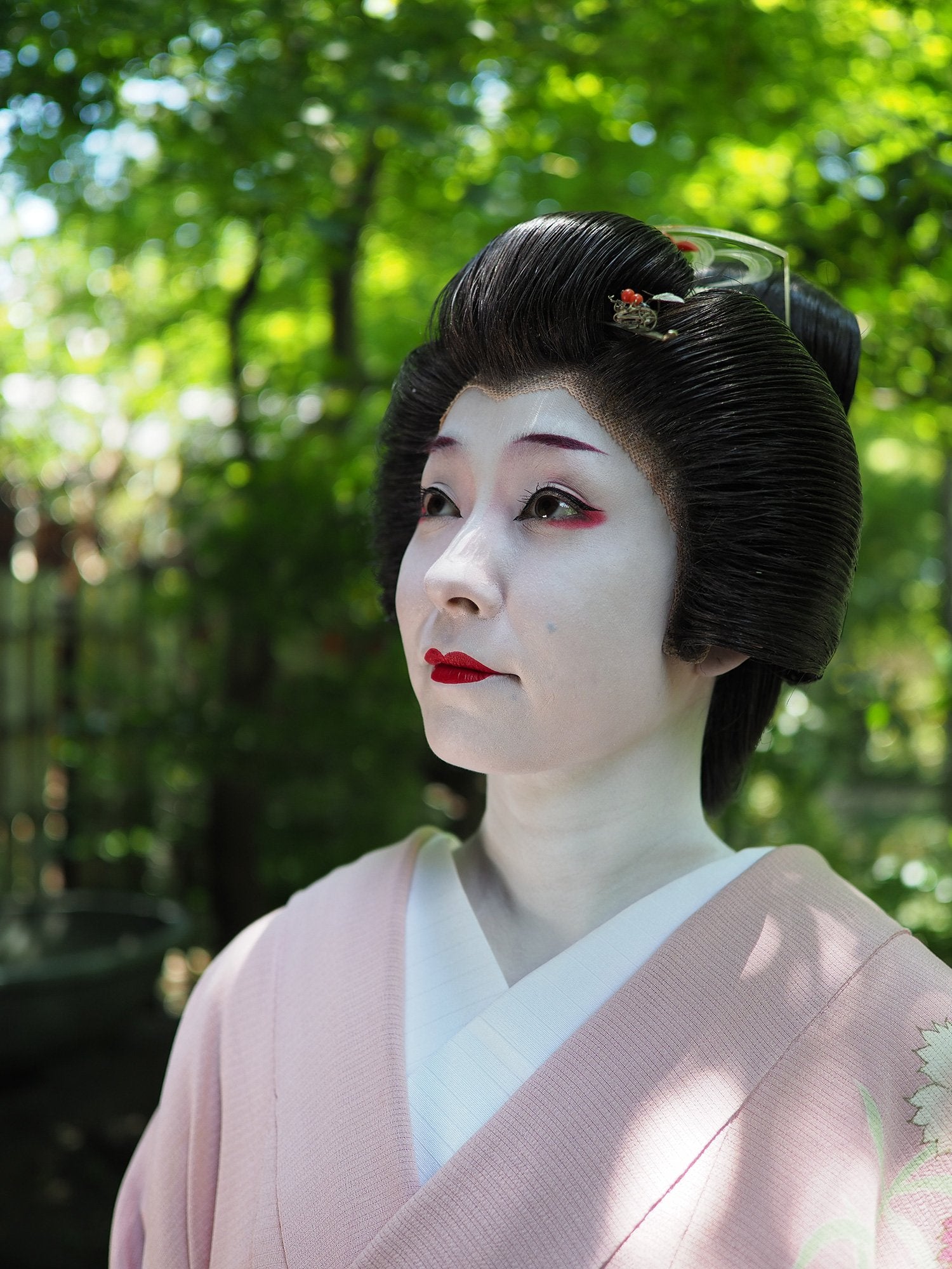 Olympus M.Zuiko Digital ED 17mm f/1.2 PRO Lens