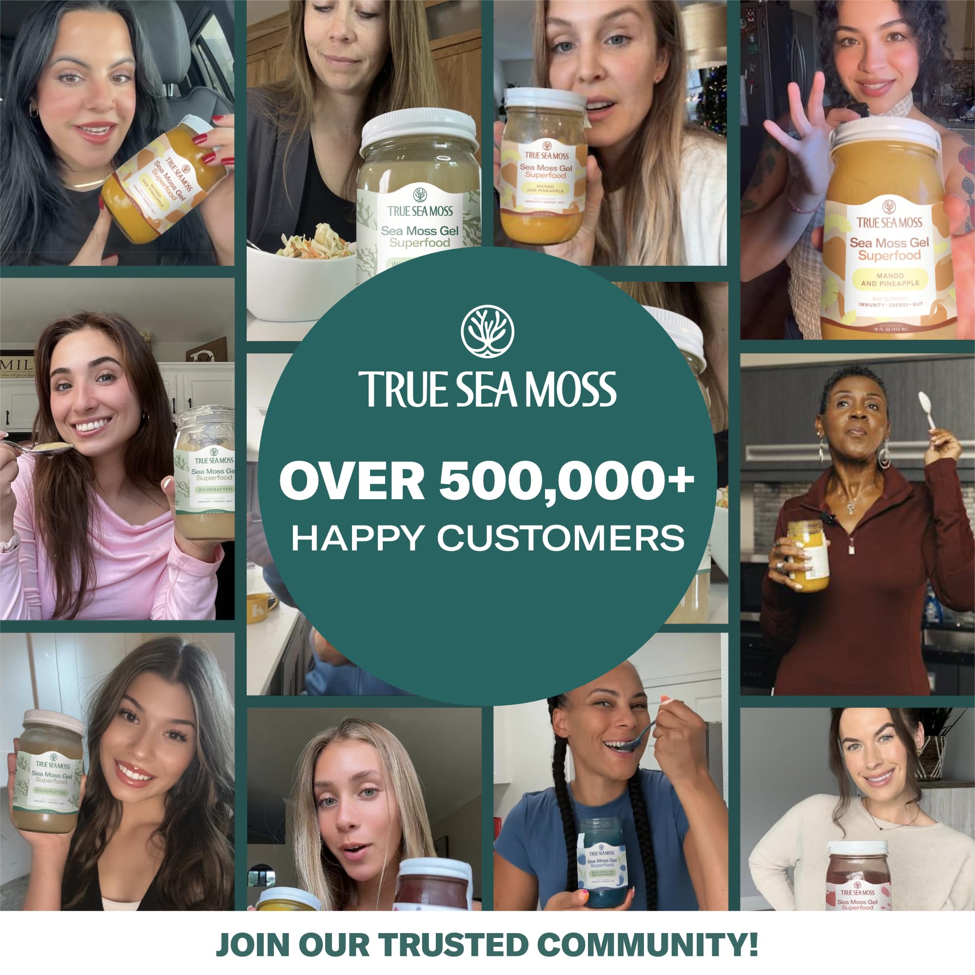 TrueSeaMoss Sea Moss Gel – Made in USA – Wildcrafted Seamoss, Fresh Fruits & Sea Vegetables – Cherry, Pack of 1 (Labels may Vary)