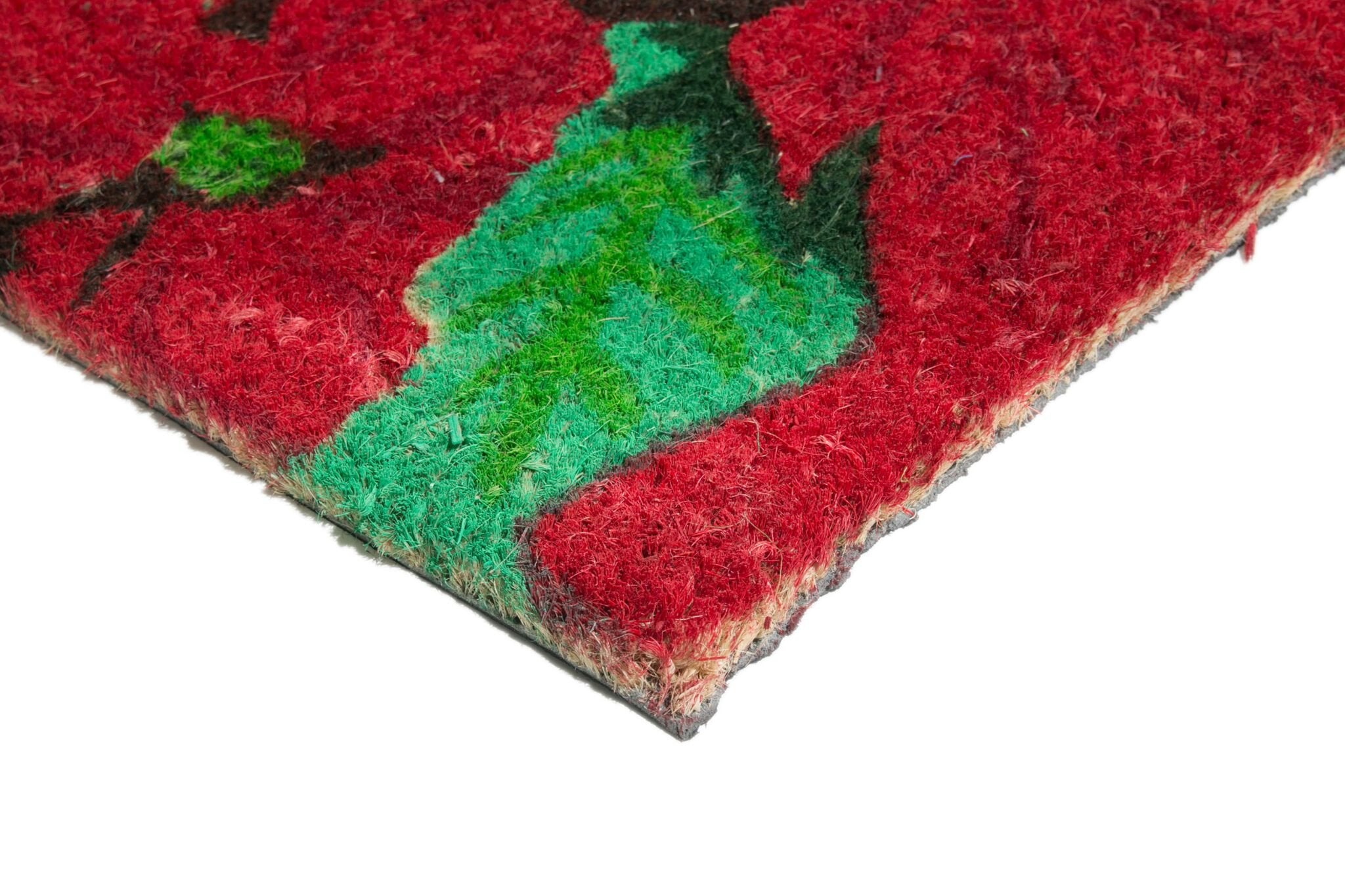Imports Décor Poinsettia Vinyl Backed Coir Doormat, 30 by 18 by 1/2-Inch
