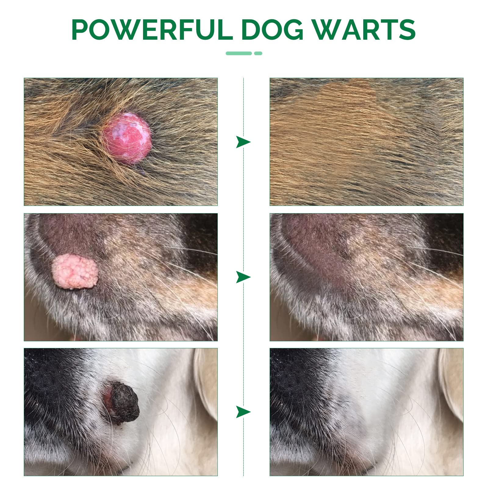 rubvil Dog Wart Remover, Natural Dog Skin Tag Remover, Gentle & Safe for Pet, Effective Dog Skin Treatment at Home