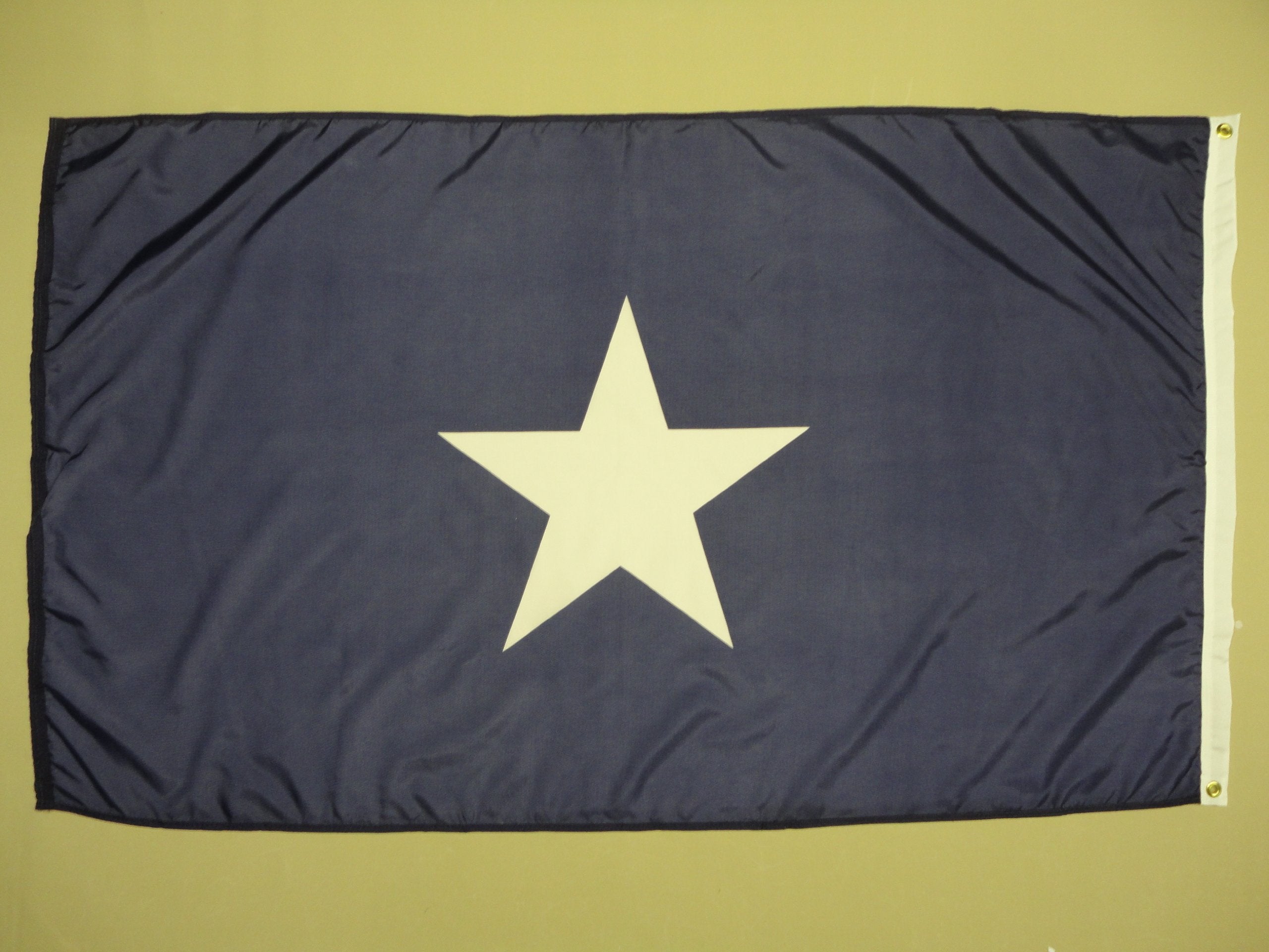 Annin Flagmakers Bonnie Blue Nylon-Dyed American Flag, 3 x 5 Feet (Model 319925)
