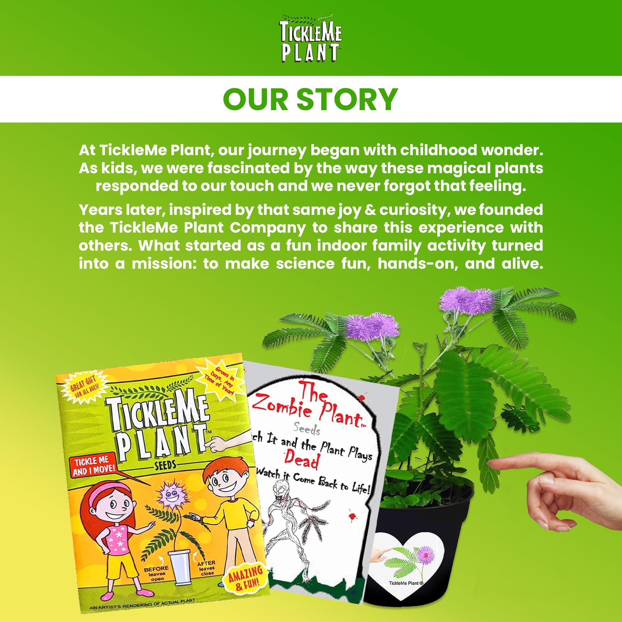 TickleMe Plant Seeds for Indoor Planting (2-Pack) – Interactive Party Favor | Leaves Close When Touched, Reopen in Minutes – Easy Indoor House Plant Seeds, Can Flower, Includes 10 Fun Activities