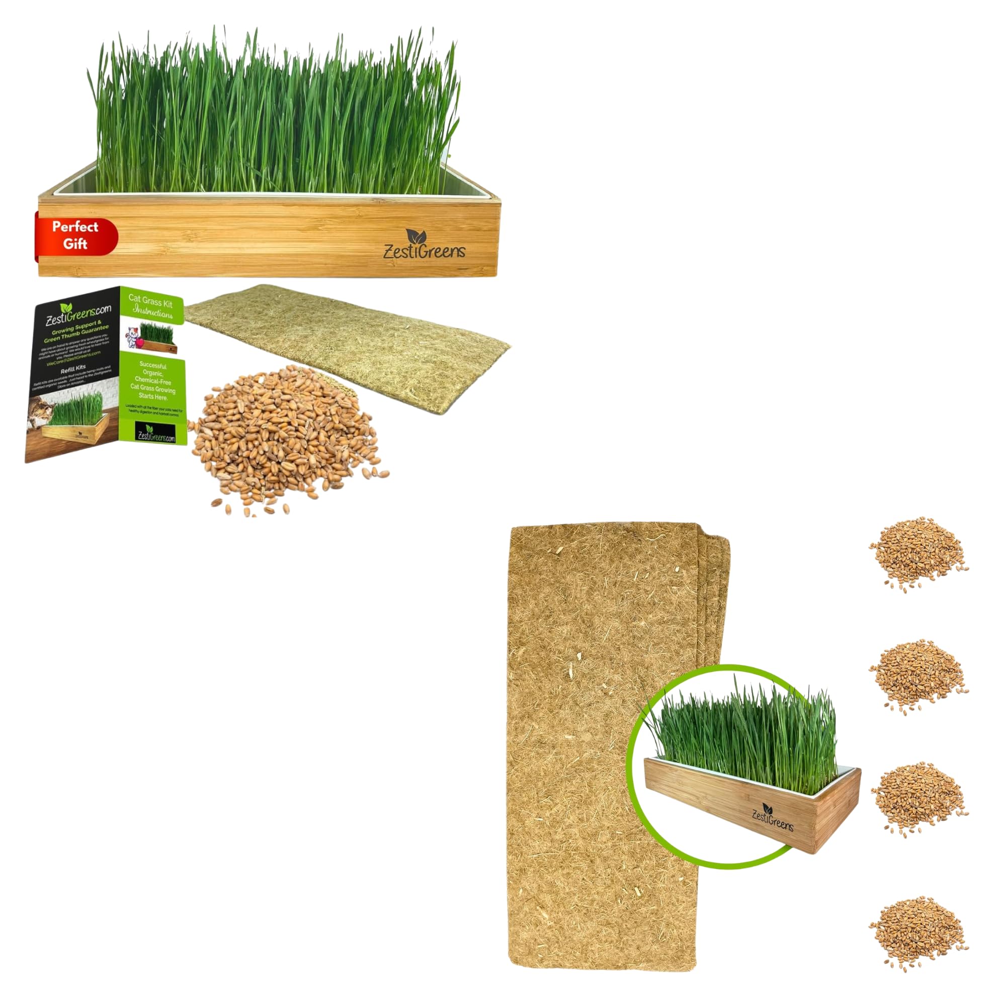 Self-Watering Cat Grass Kit and Cat Grass Refills - 4 Mats and 4 Cat Grass Seed Packets (Cat Grass Refill Kit)