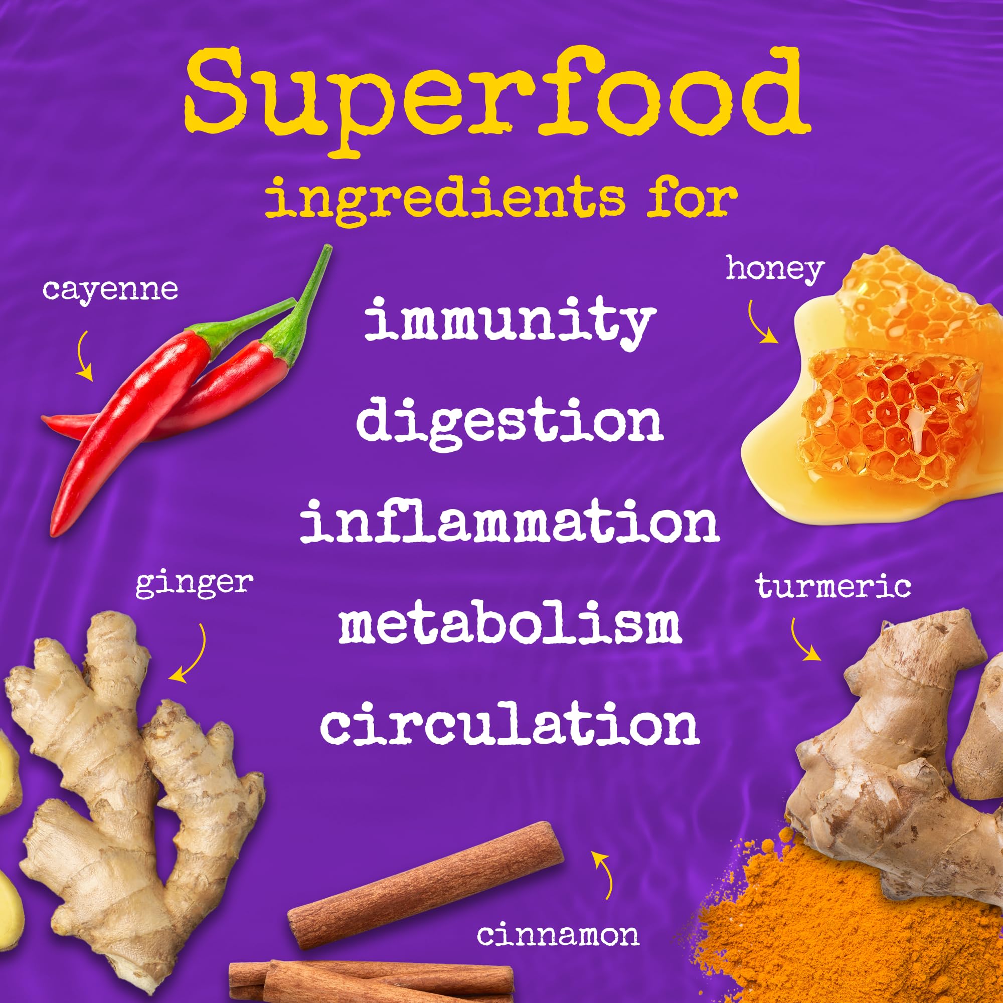 The Twisted Shot | Apple Cider Vinegar Wellness Shots with Honey, Cinnamon, Ginger and Turmeric | Digestion, Immunity and Gut Health Support | Ready to Drink Shots | 100% Organic | 12, 2 fl oz Shots